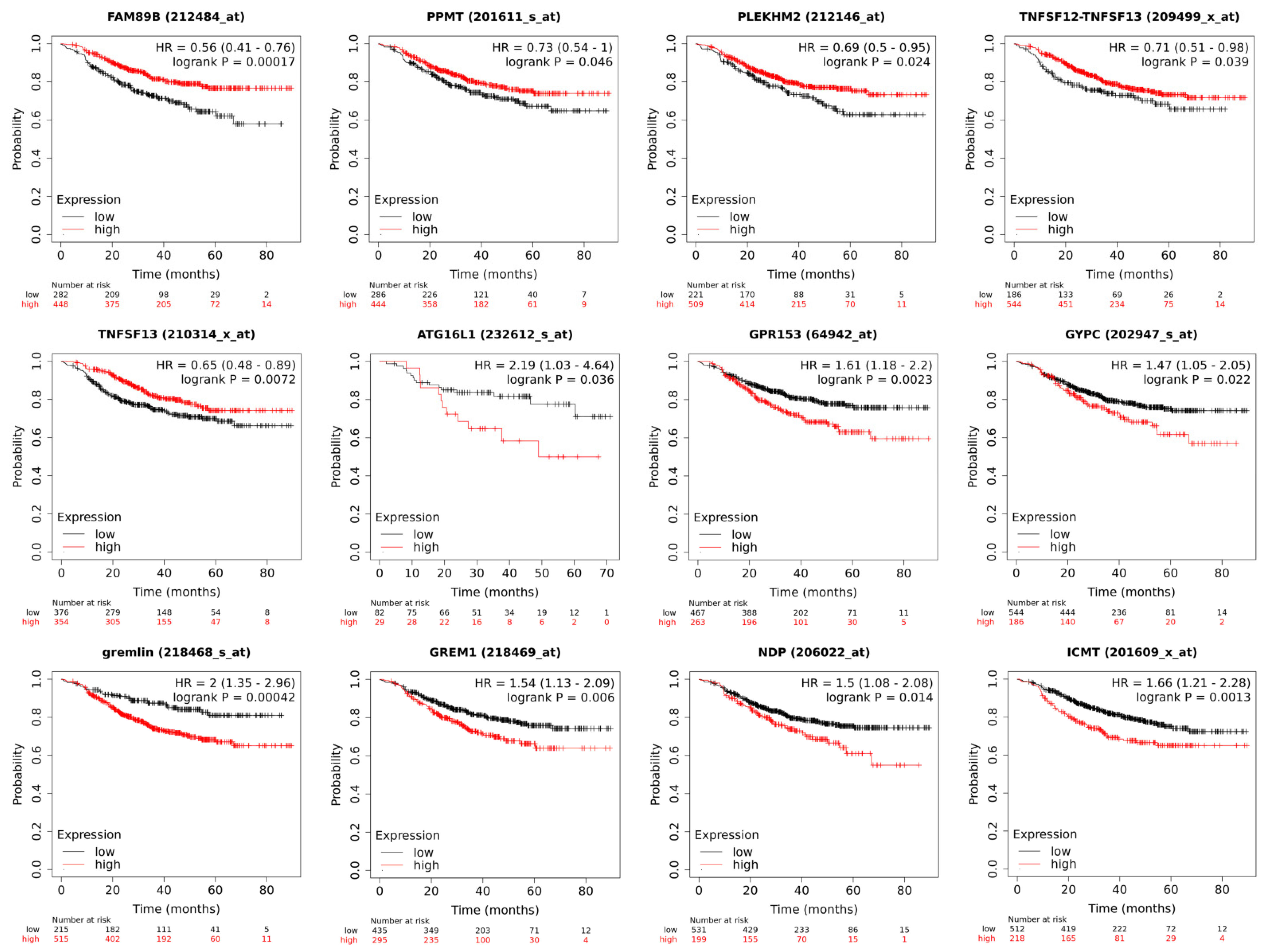 Ijms 23 13906 g004 Ijms 23 13906 g004
