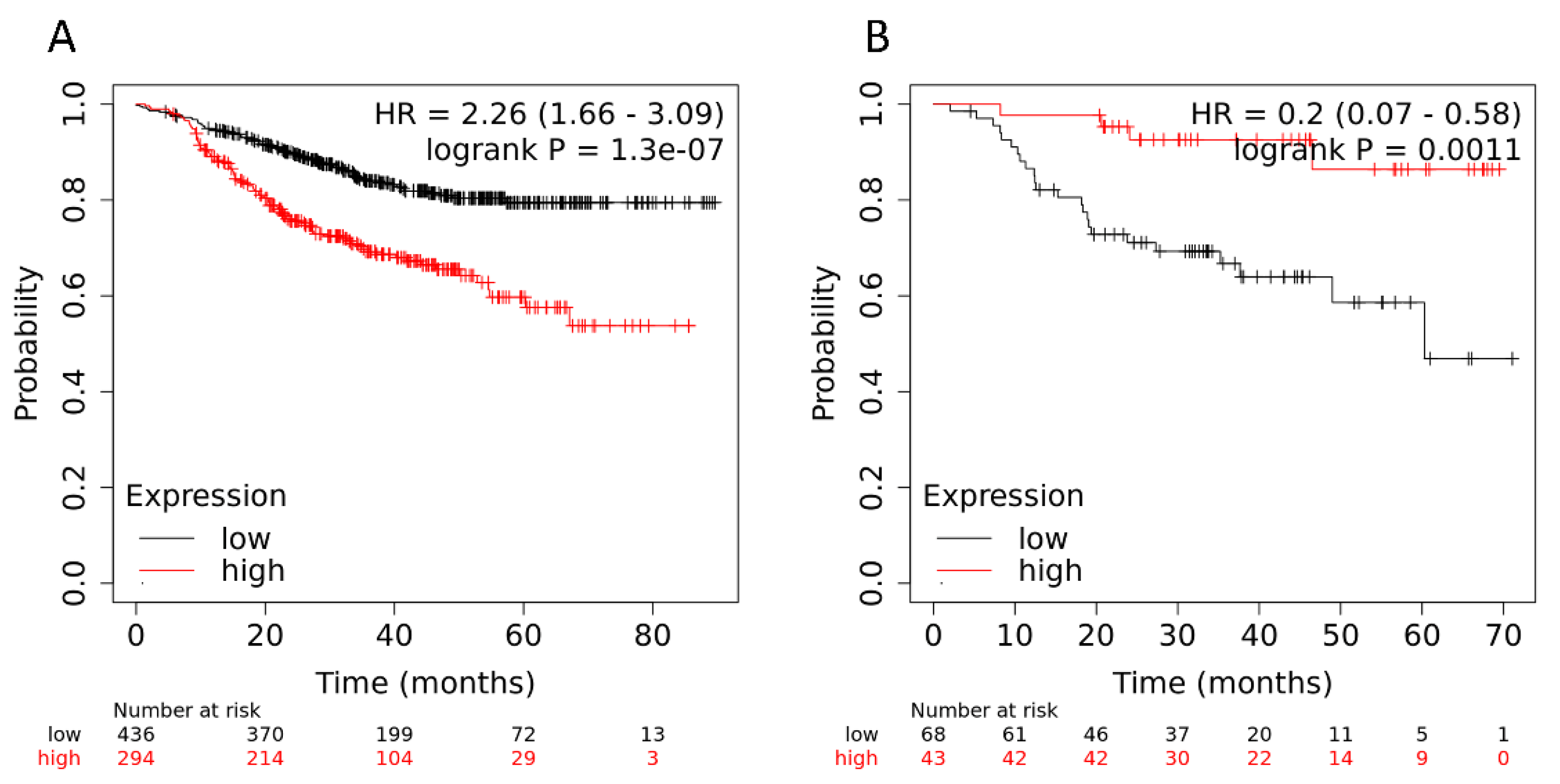 Ijms 23 13906 g005 Ijms 23 13906 g005