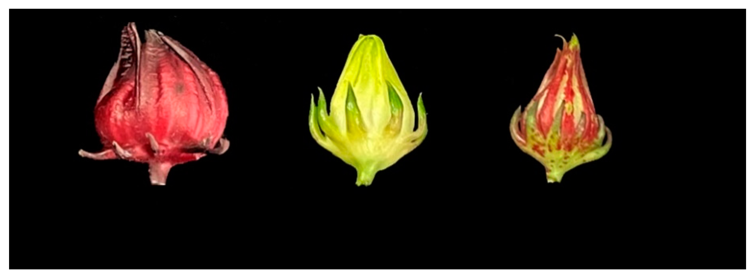 Ijms 23 13908 g001 Ijms 23 13908 g001