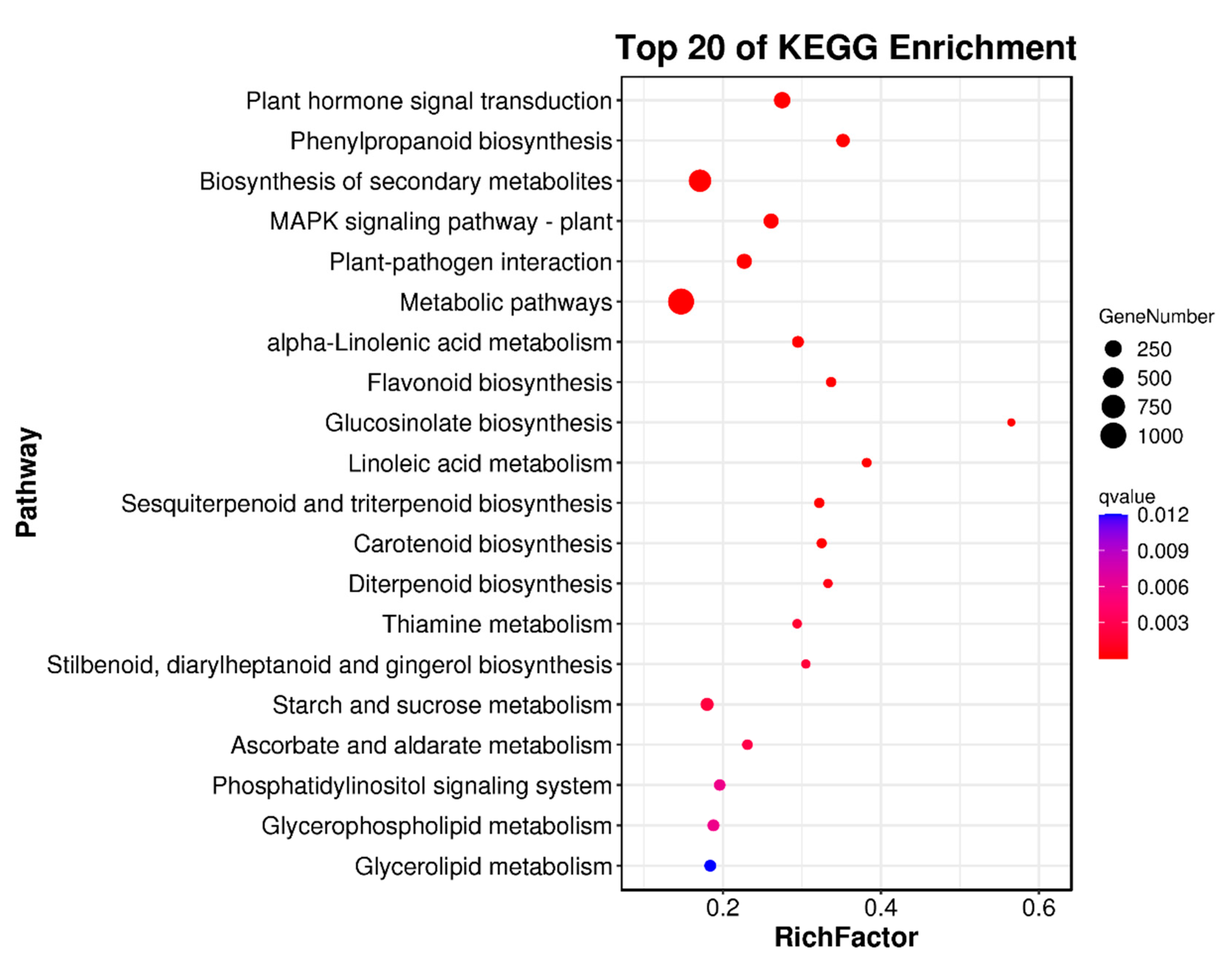 Ijms 23 13908 g005 Ijms 23 13908 g005