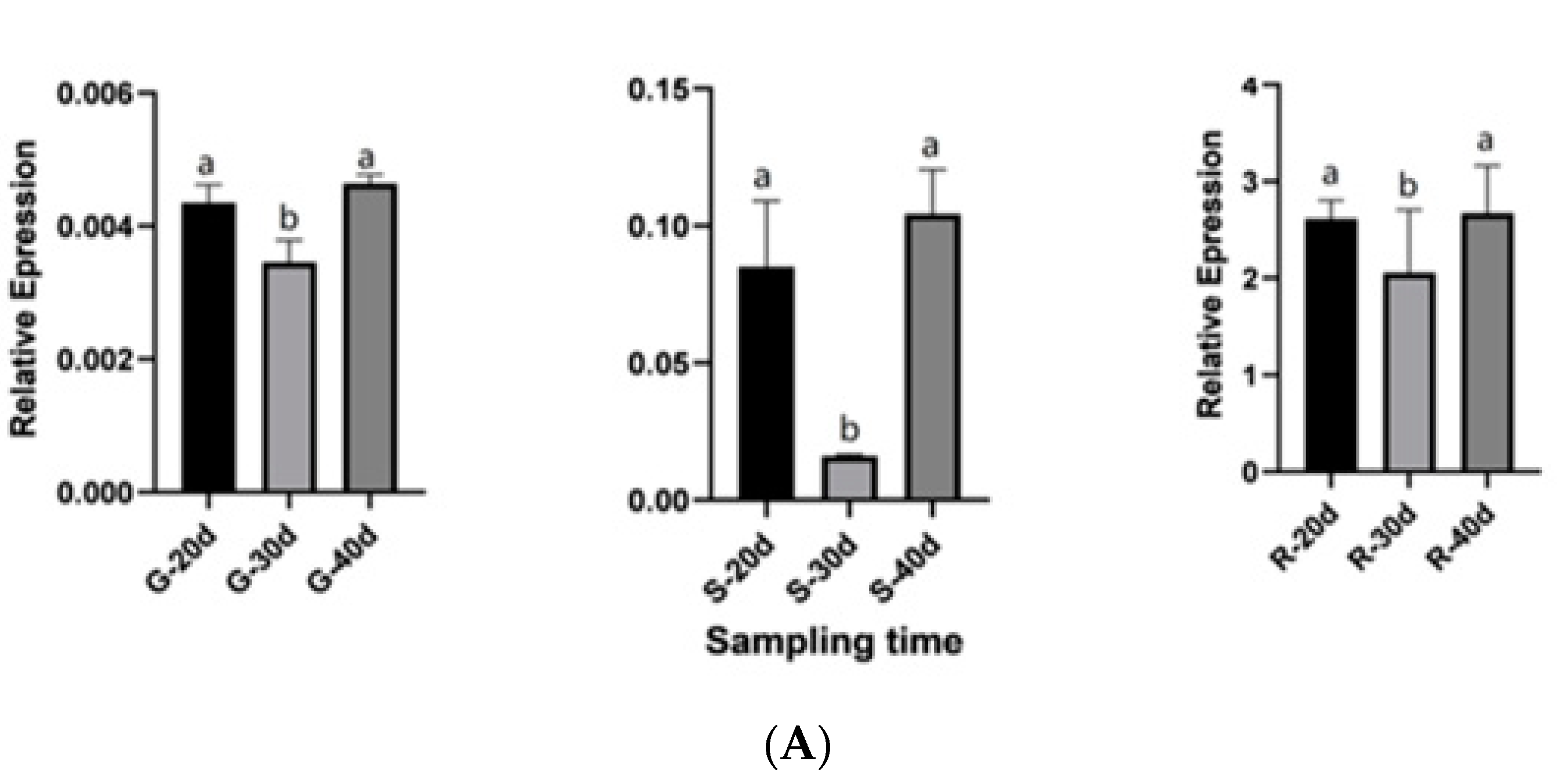 Ijms 23 13908 g010a Ijms 23 13908 g010a