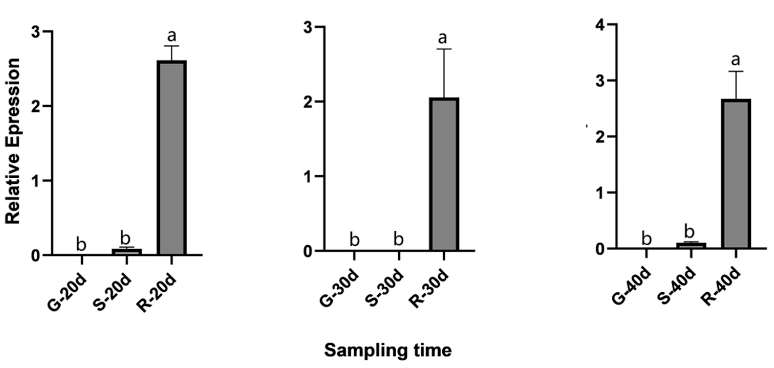 Ijms 23 13908 g011 Ijms 23 13908 g011