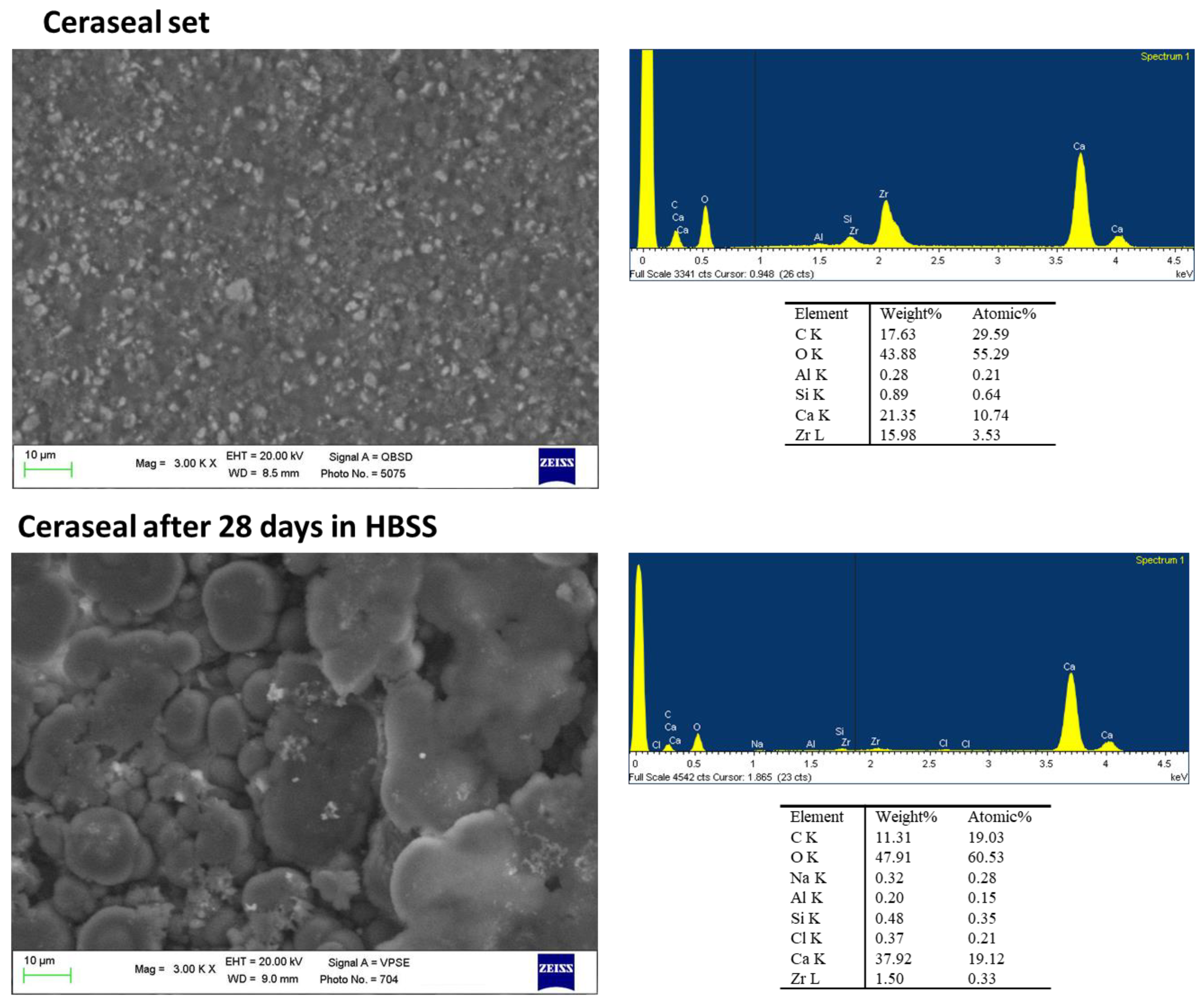 Ijms 23 13914 g001 Ijms 23 13914 g001