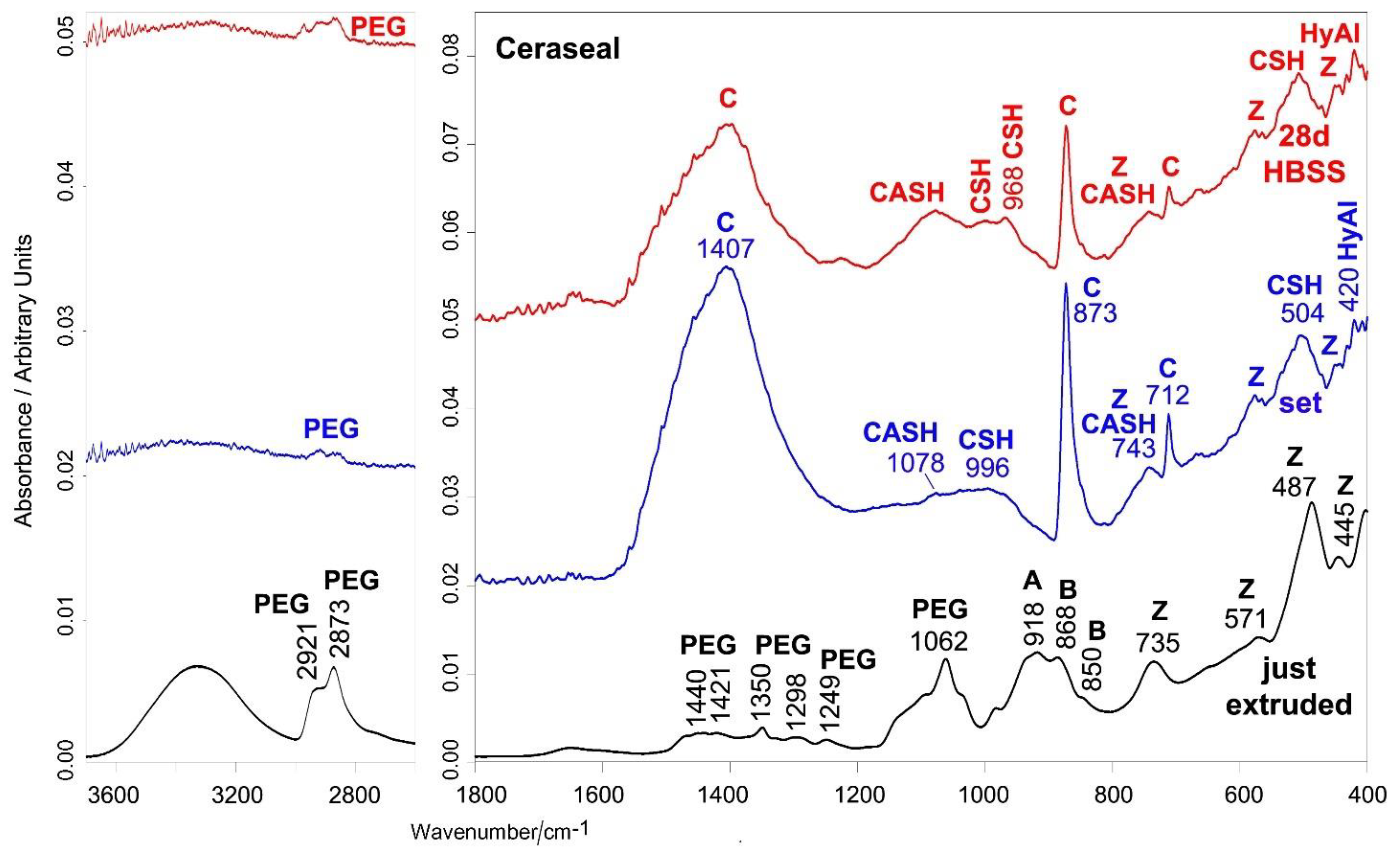 Ijms 23 13914 g002 Ijms 23 13914 g002