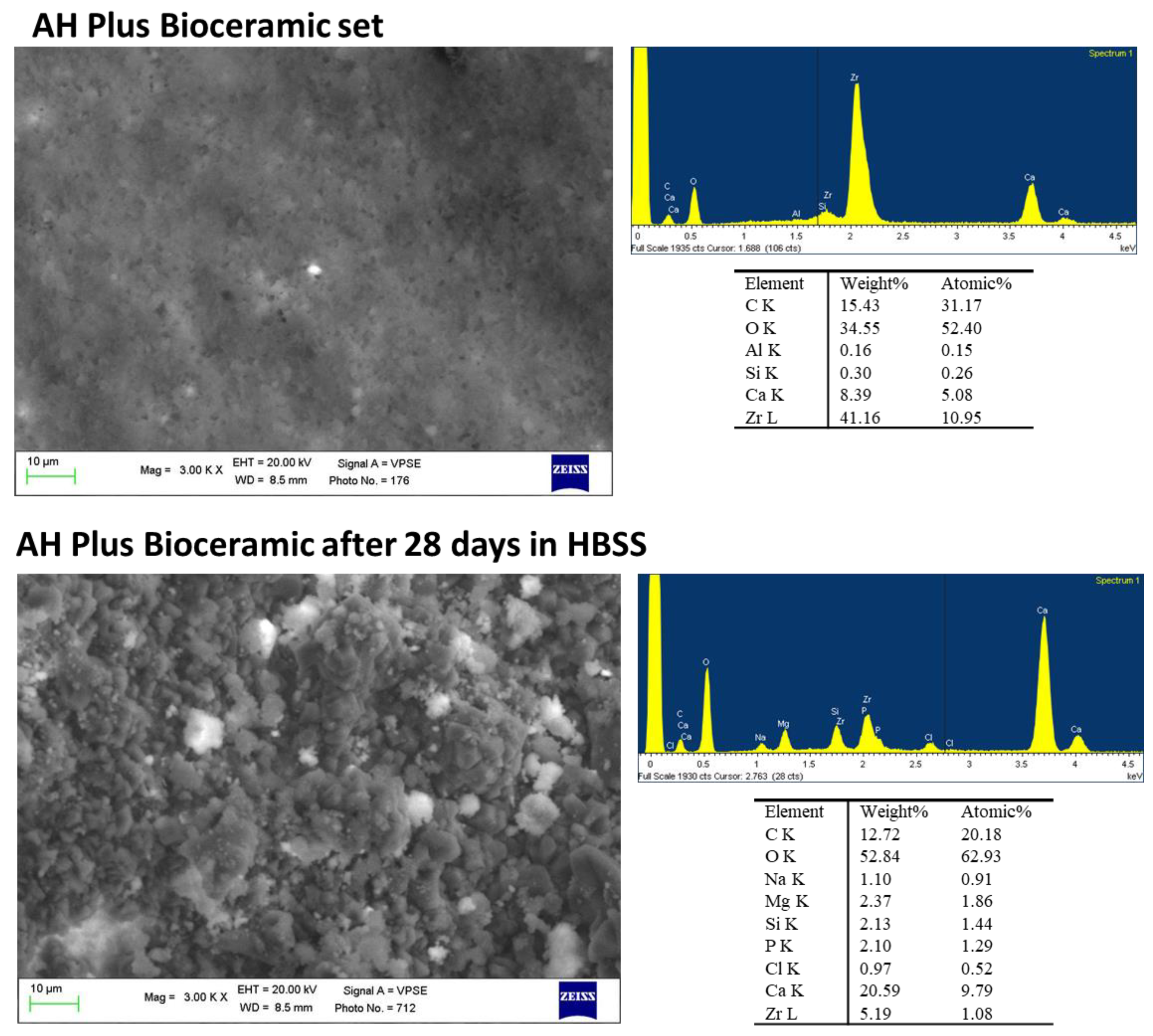 Ijms 23 13914 g007 Ijms 23 13914 g007