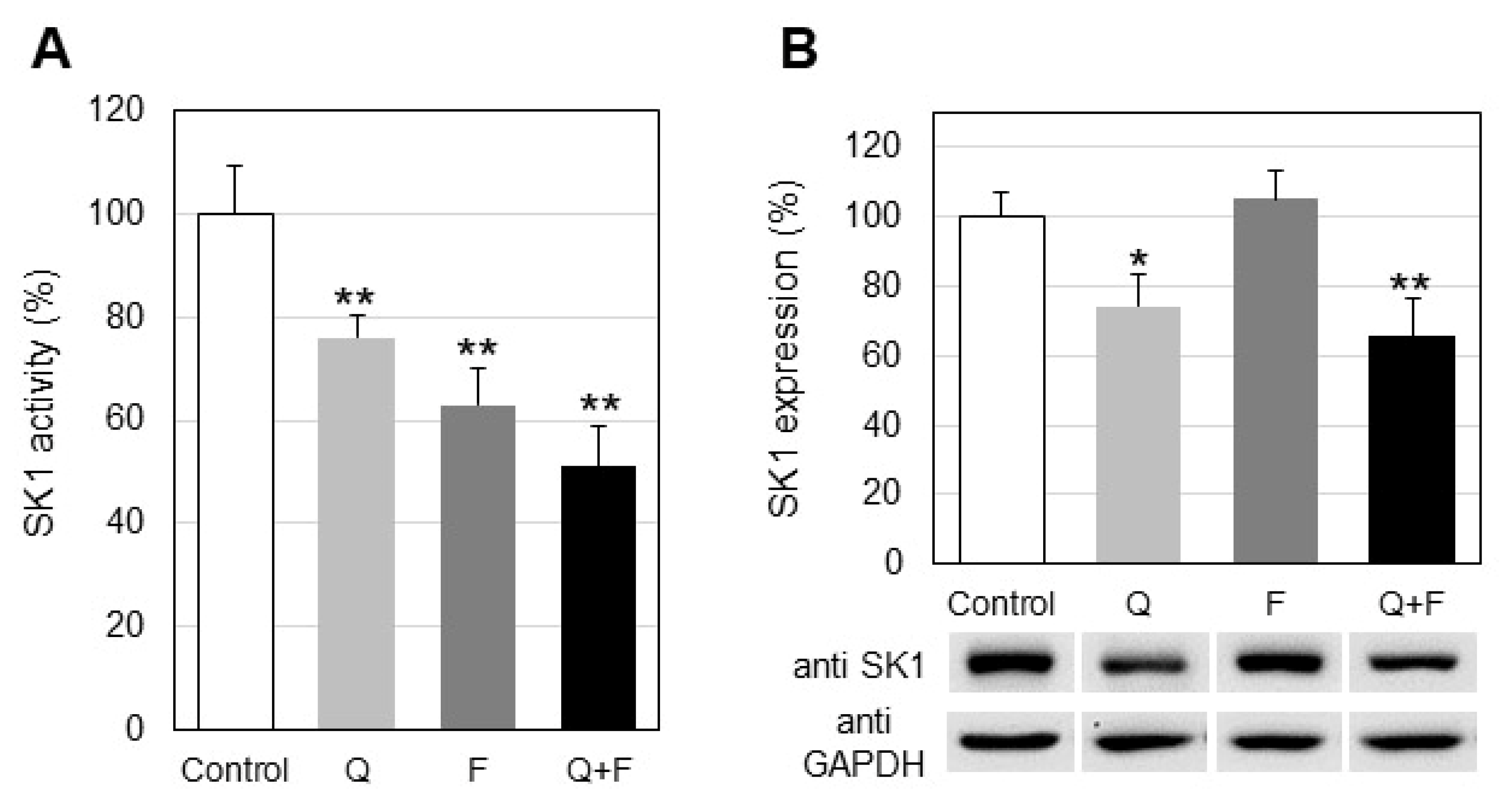 Ijms 23 13916 g006 Ijms 23 13916 g006