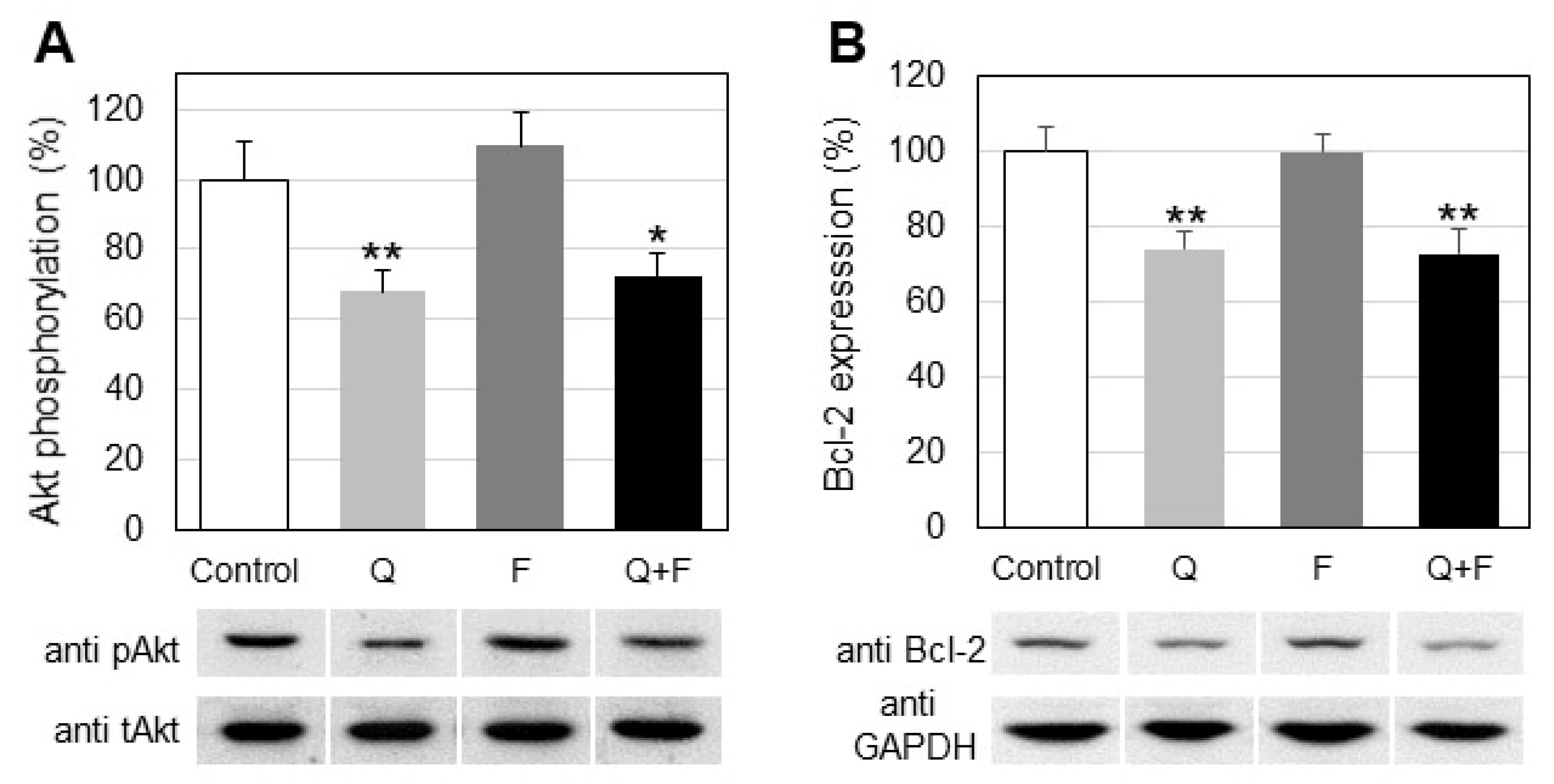 Ijms 23 13916 g007 Ijms 23 13916 g007