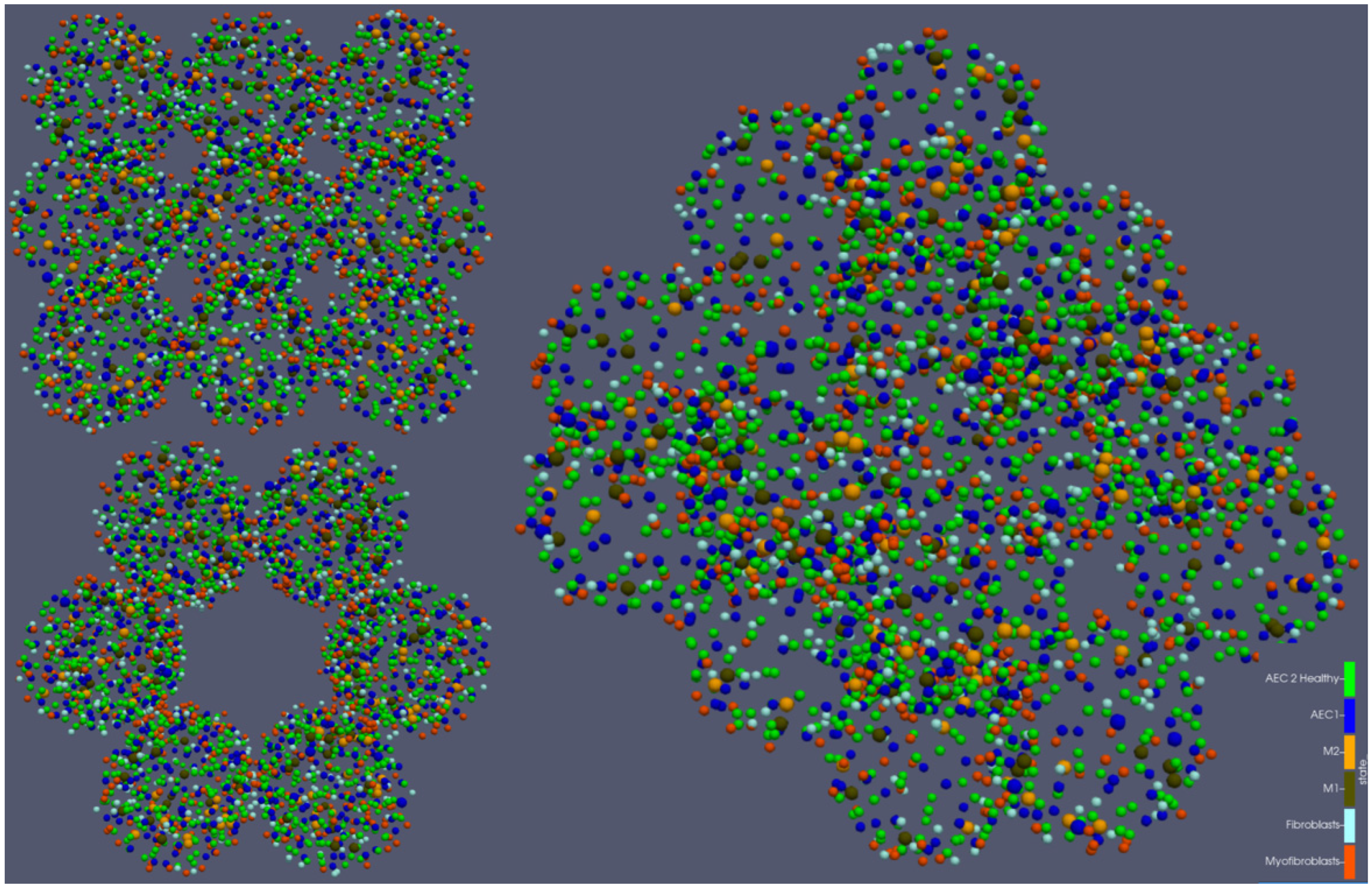 Ijms 23 13920 g001 Ijms 23 13920 g001