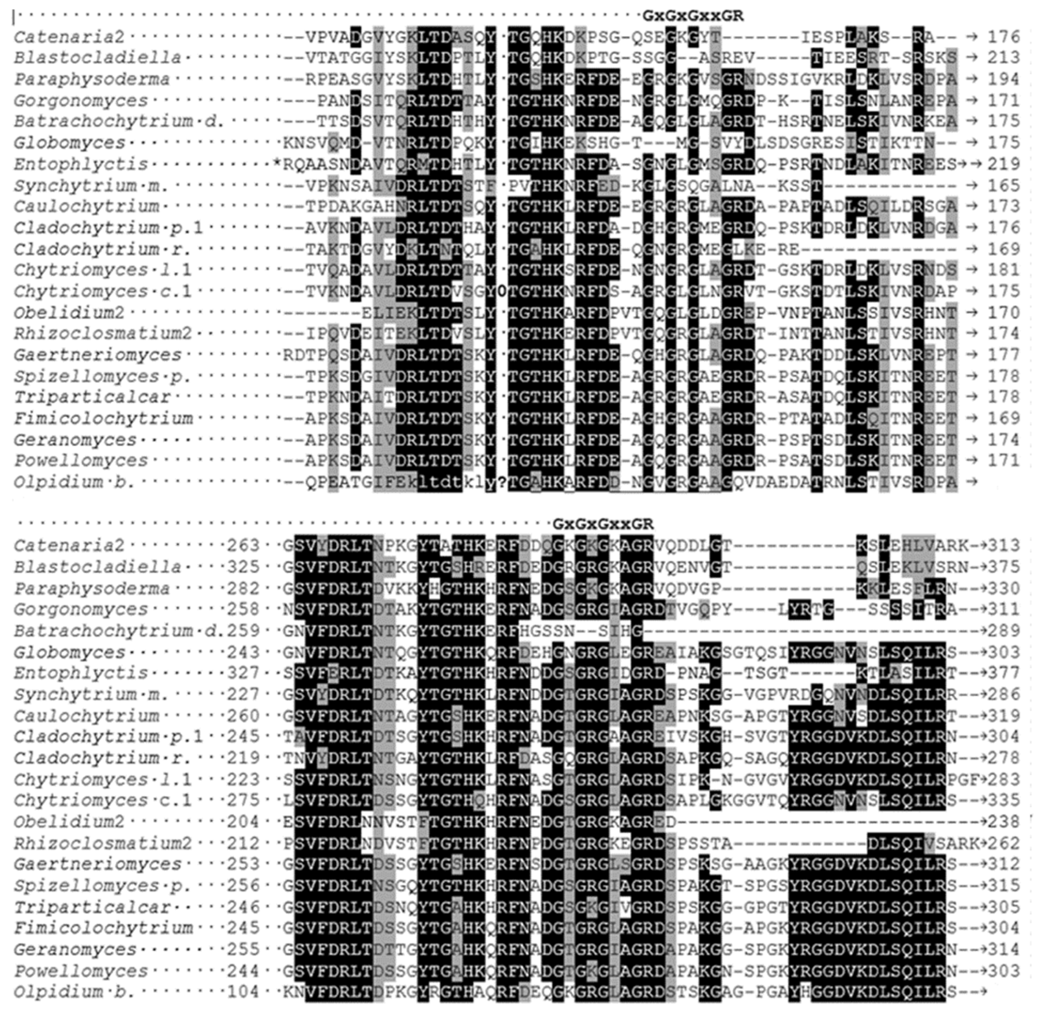 Ijms 23 13927 g004b Ijms 23 13927 g004b