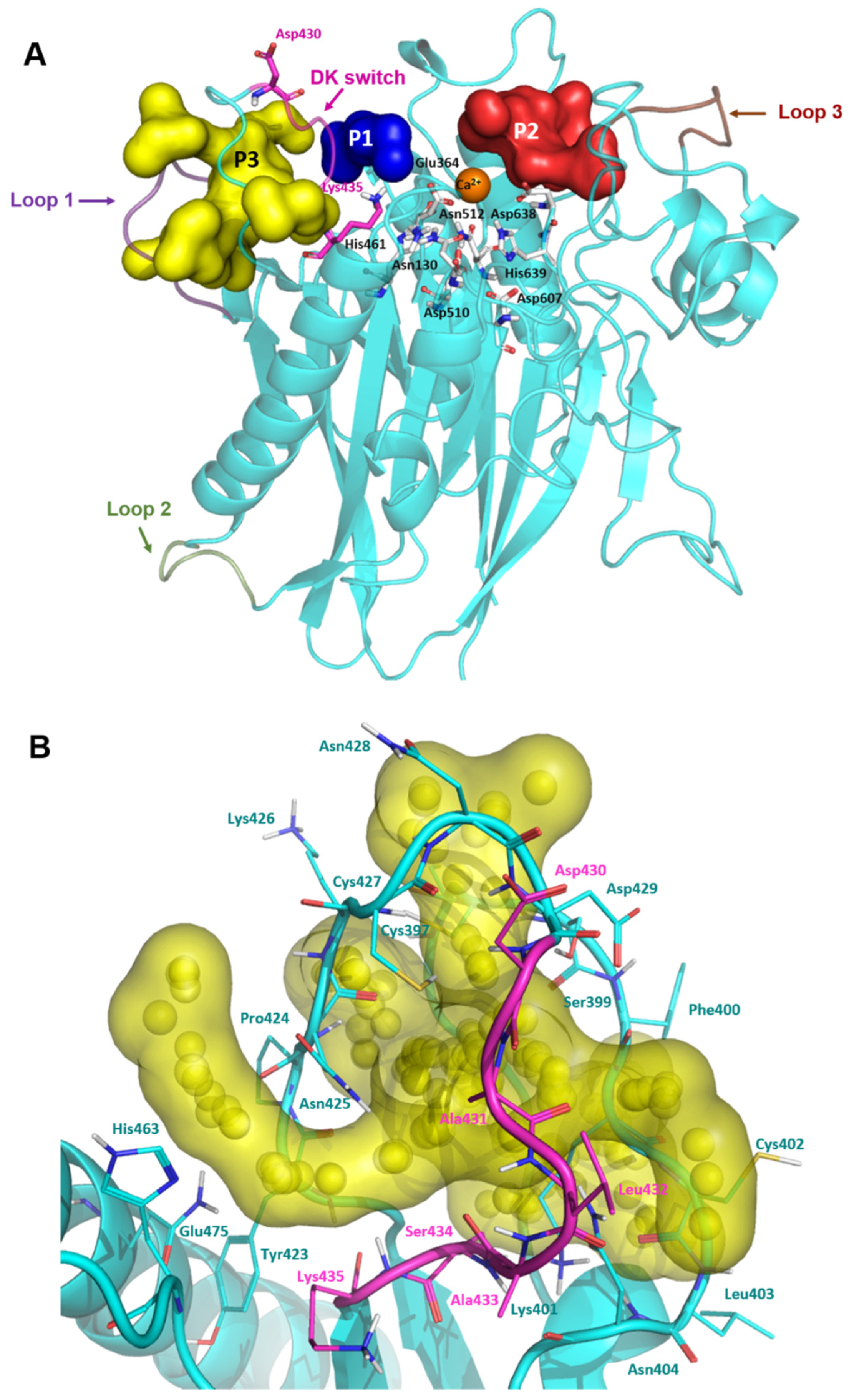 Ijms 23 13935 g003 Ijms 23 13935 g003