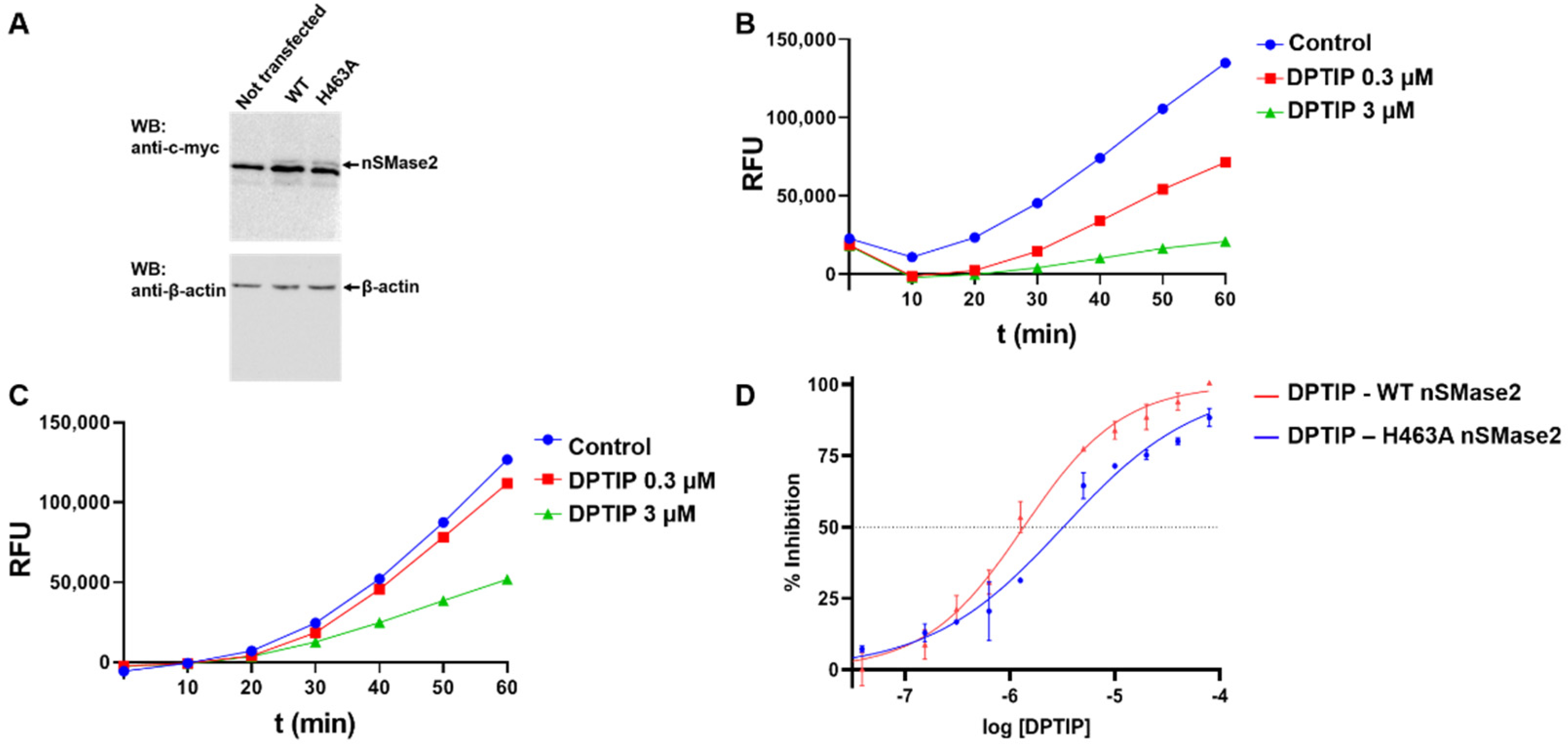 Ijms 23 13935 g008 Ijms 23 13935 g008