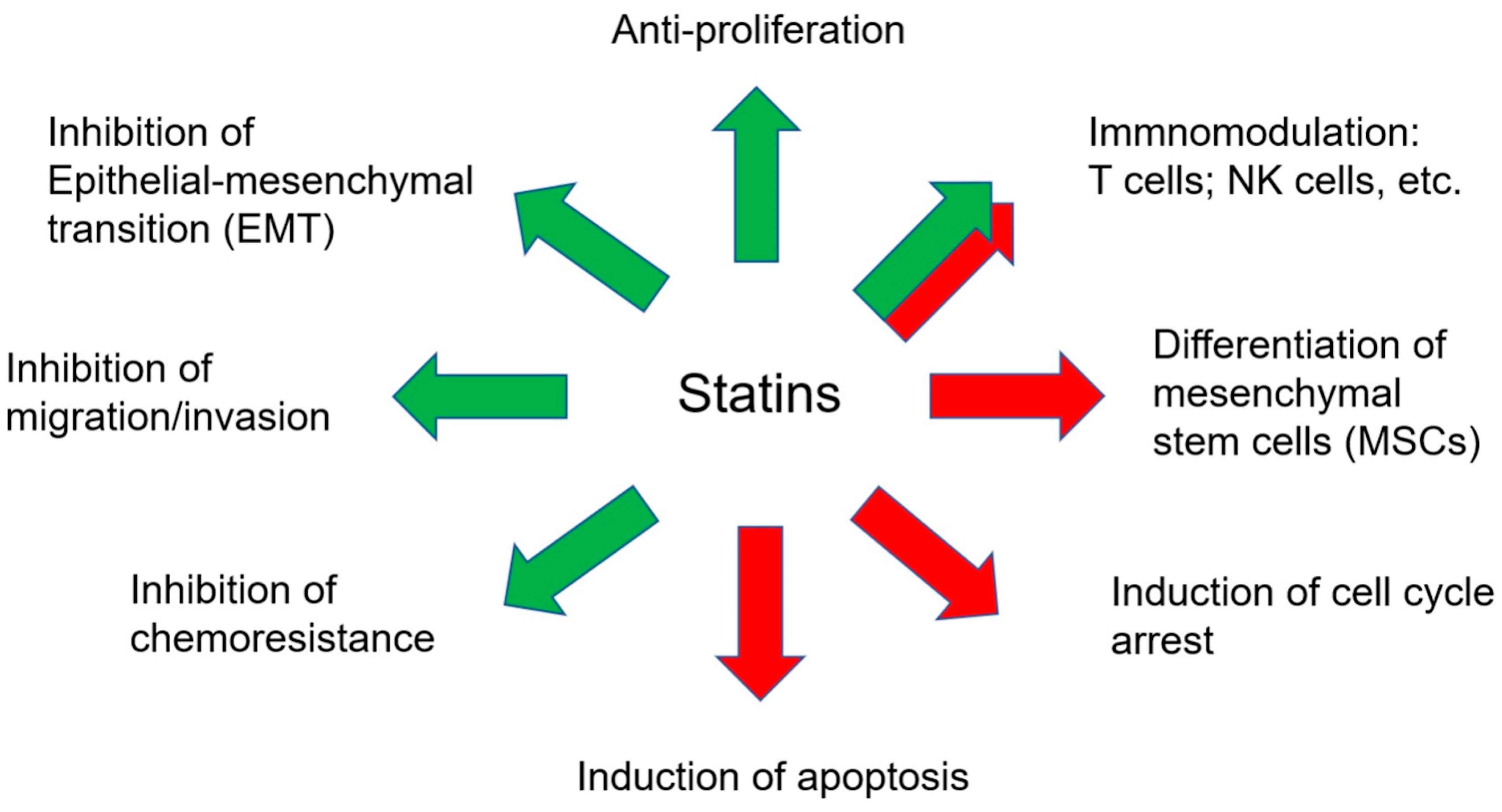Ijms 23 13937 g002 Ijms 23 13937 g002