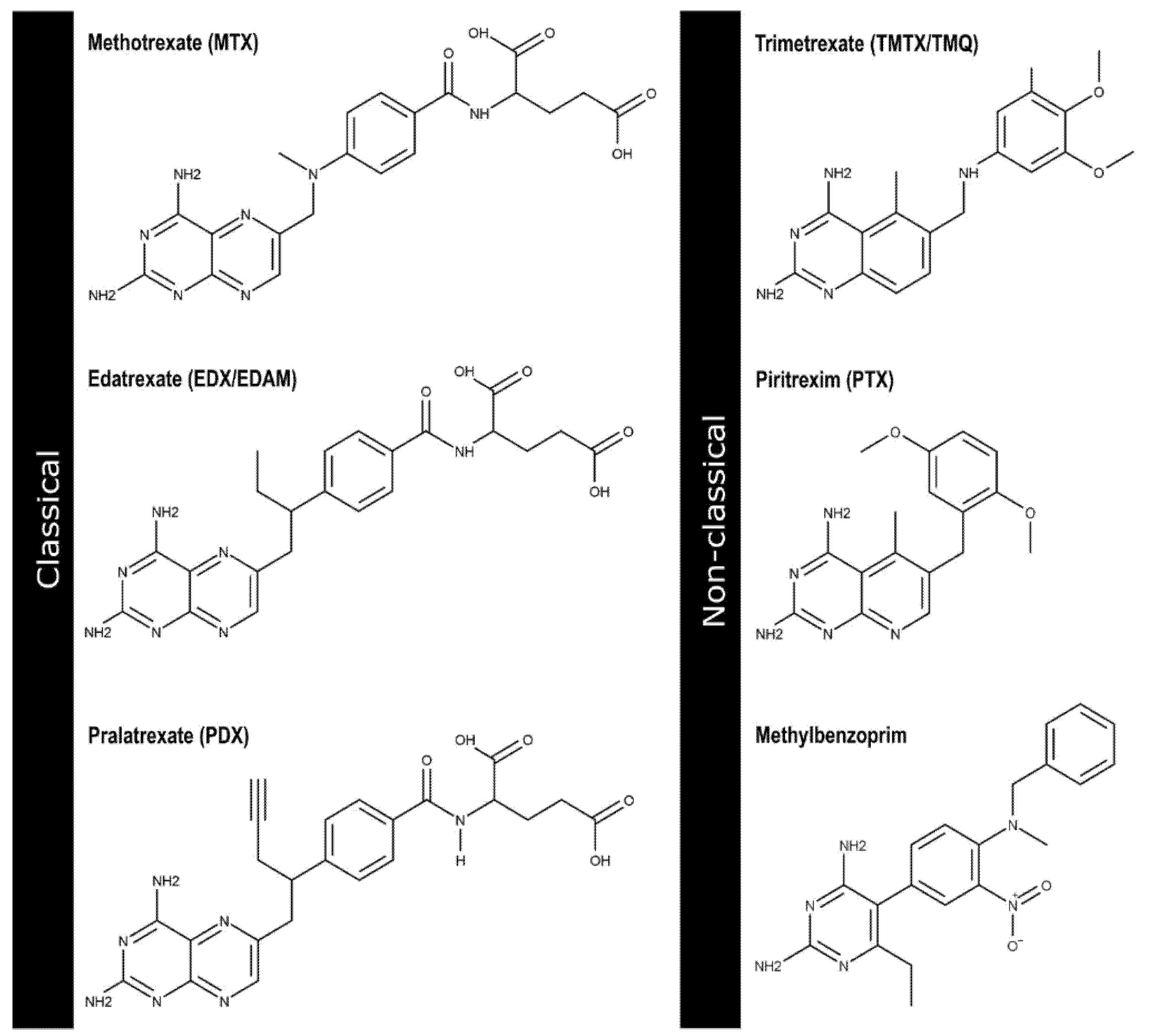 Ijms 23 13946 g001 Ijms 23 13946 g001