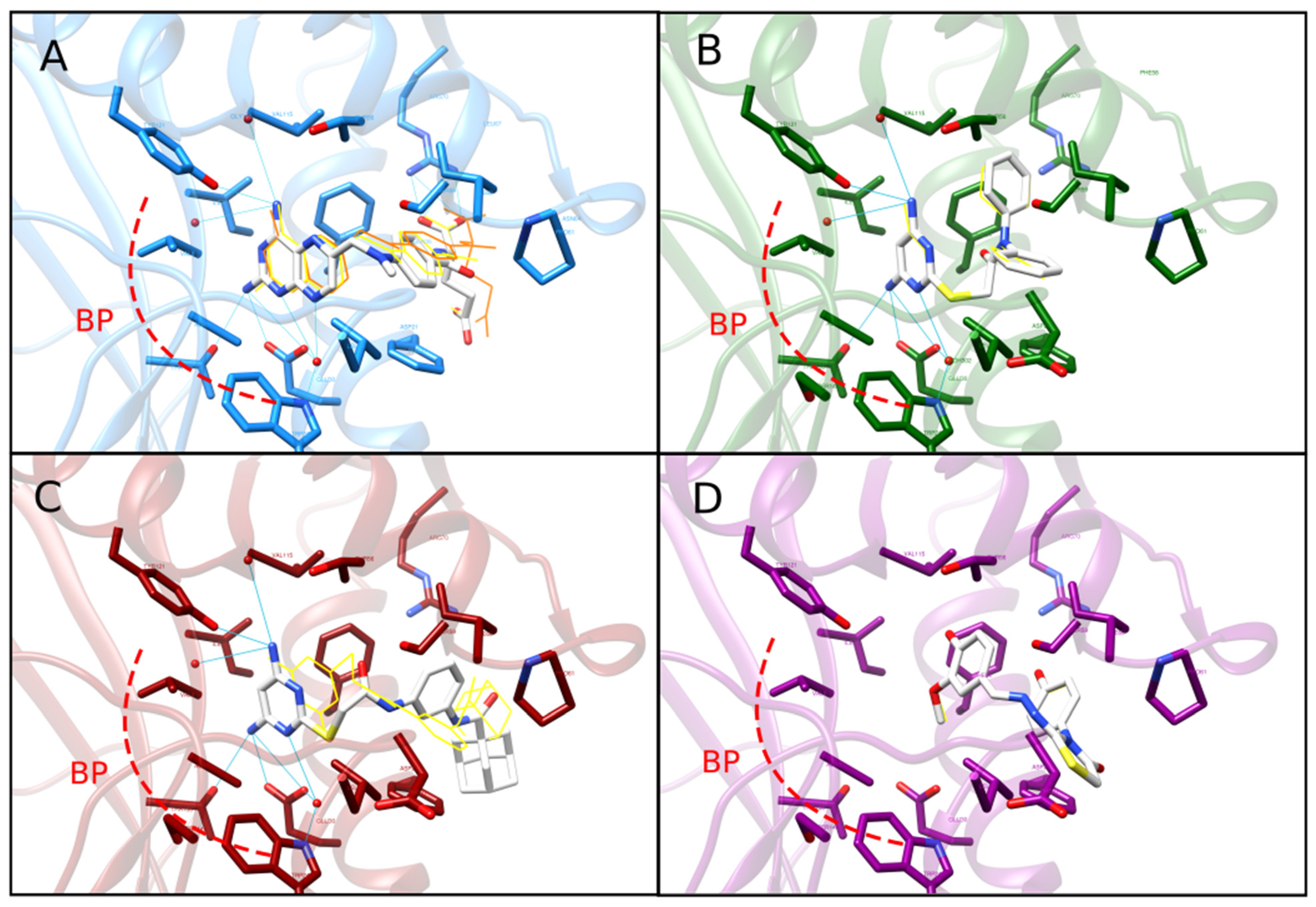 Ijms 23 13946 g003 Ijms 23 13946 g003