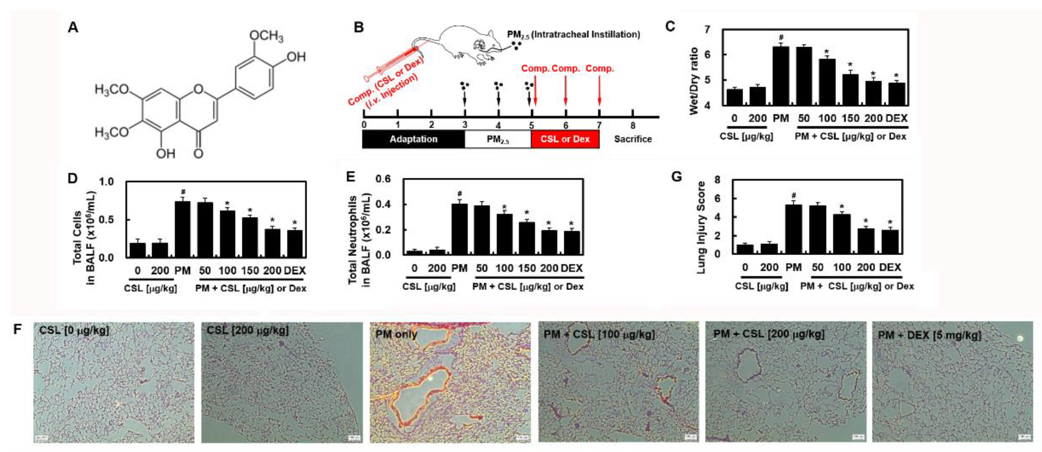 Ijms 23 13948 g001 Ijms 23 13948 g001