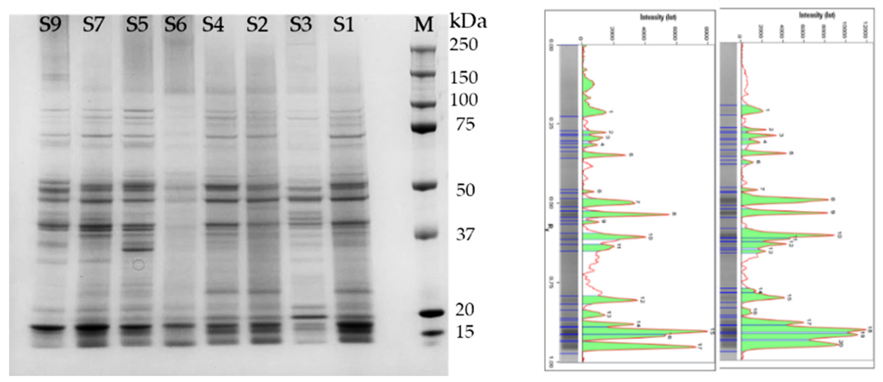 Ijms 23 13949 g002 Ijms 23 13949 g002
