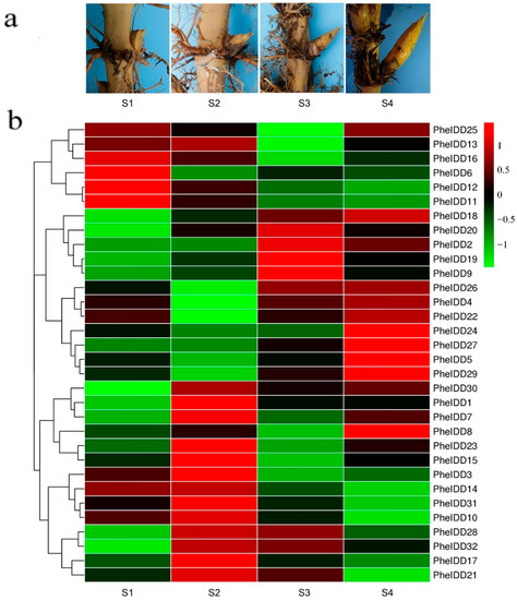 ポテト マッケイン カントリーウェッジポテト 1kg ( フライドポテト / ポテト