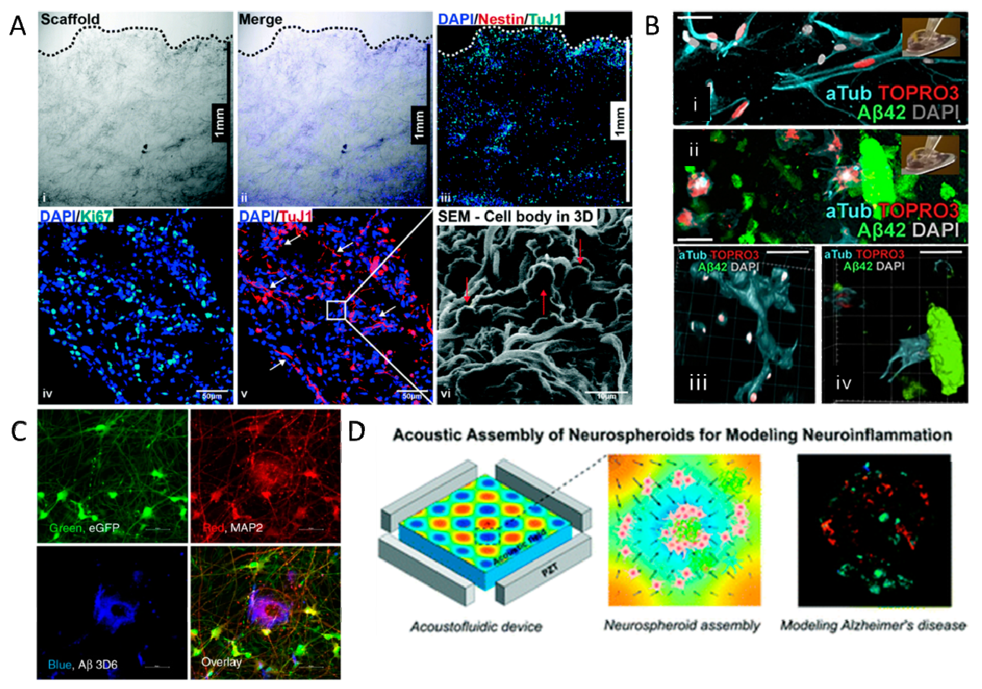 Ijms 23 13954 g002 Ijms 23 13954 g002