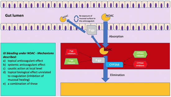 Gastrointestinal Bleeding Due to NOACs Use: Exploring the Molecular ...