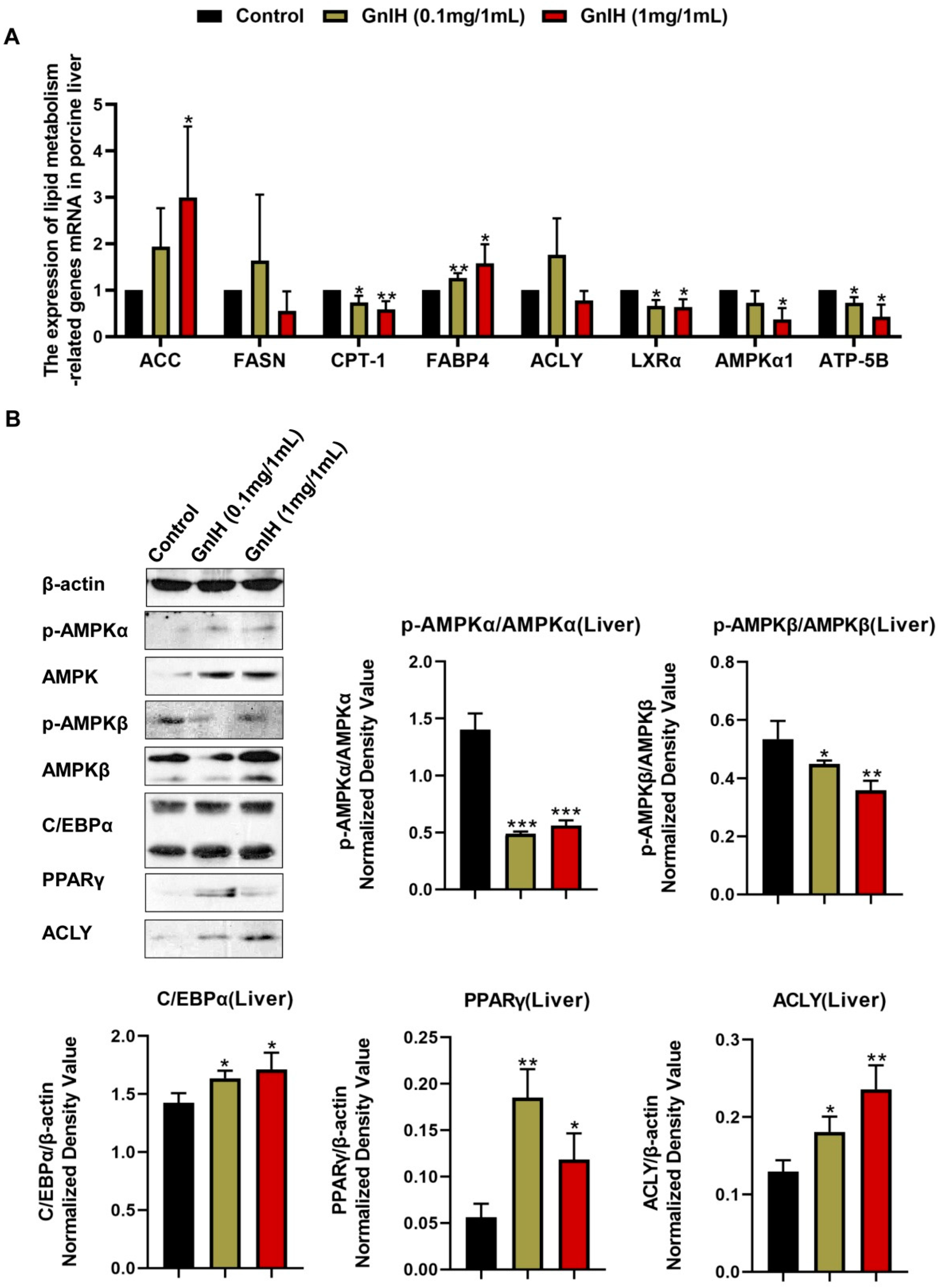 Ijms 23 13956 g006 Ijms 23 13956 g006