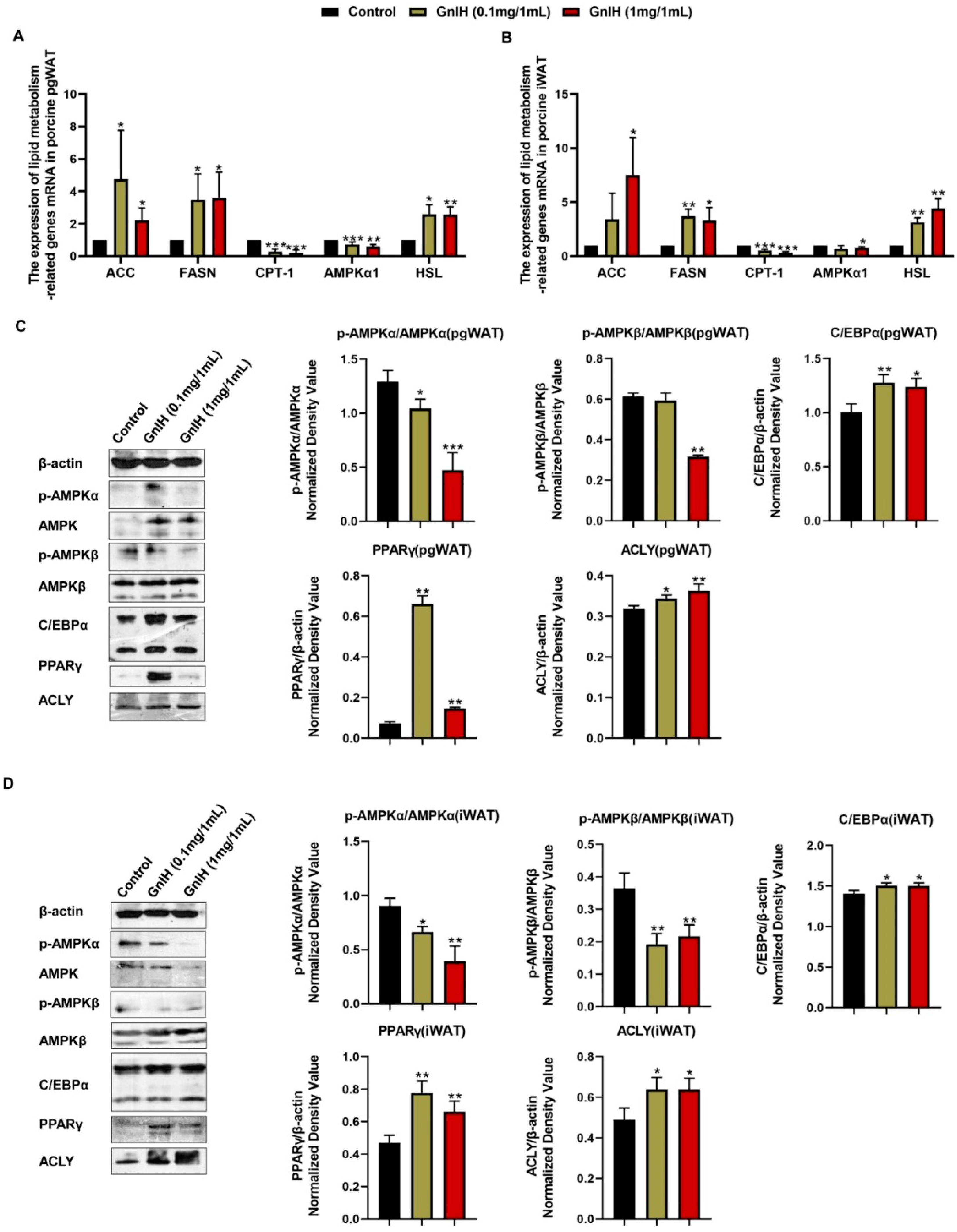 Ijms 23 13956 g007 Ijms 23 13956 g007