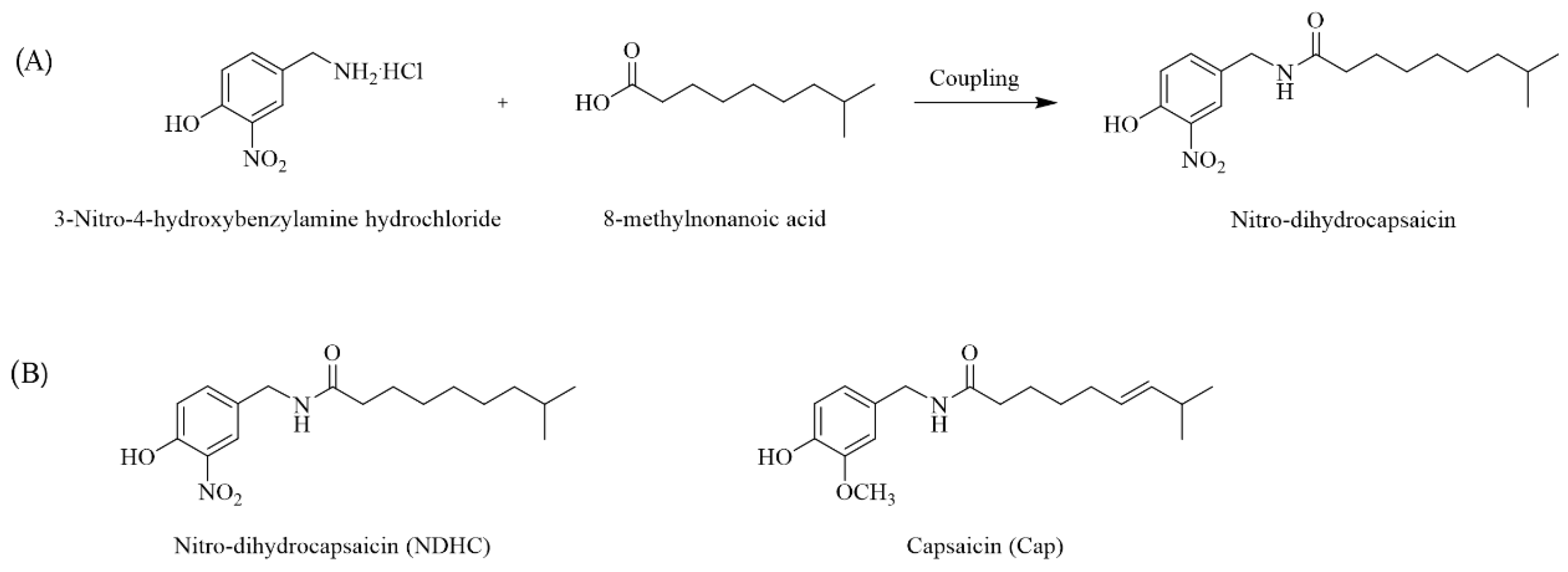 Ijms 23 13960 g001 Ijms 23 13960 g001