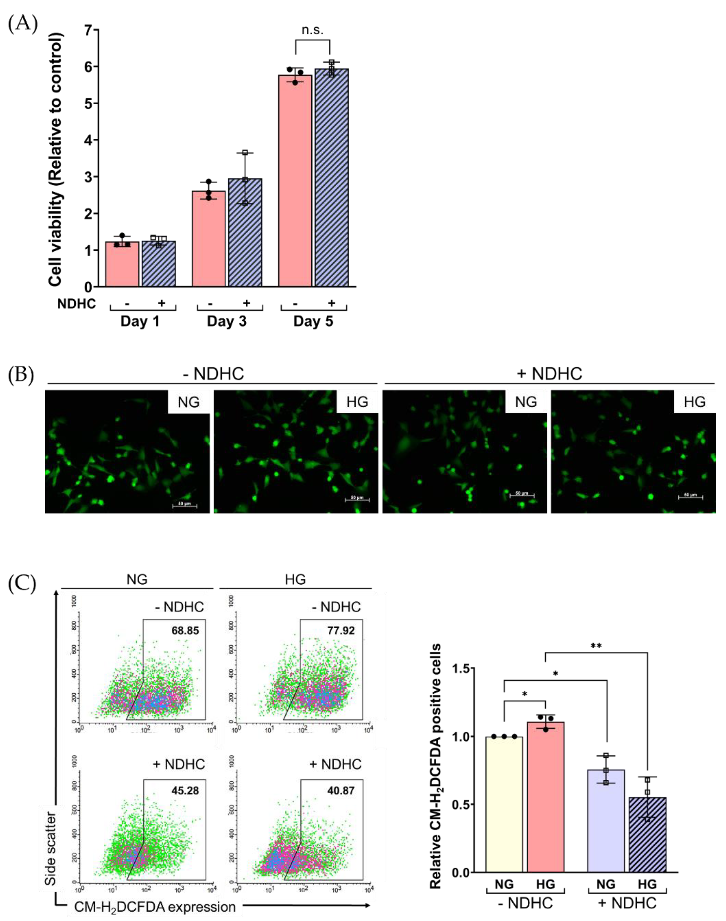 Ijms 23 13960 g004 Ijms 23 13960 g004