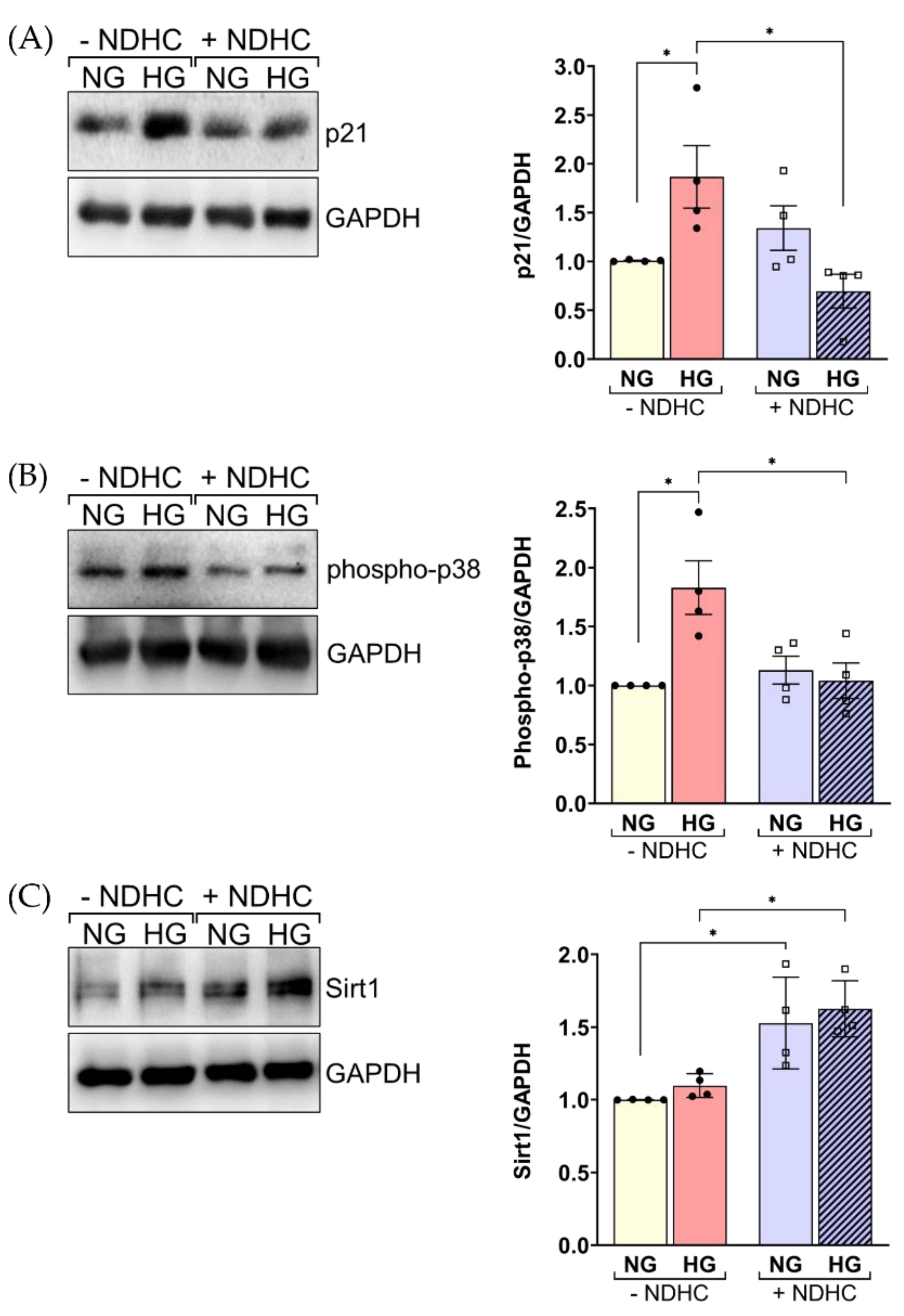 Ijms 23 13960 g006 Ijms 23 13960 g006