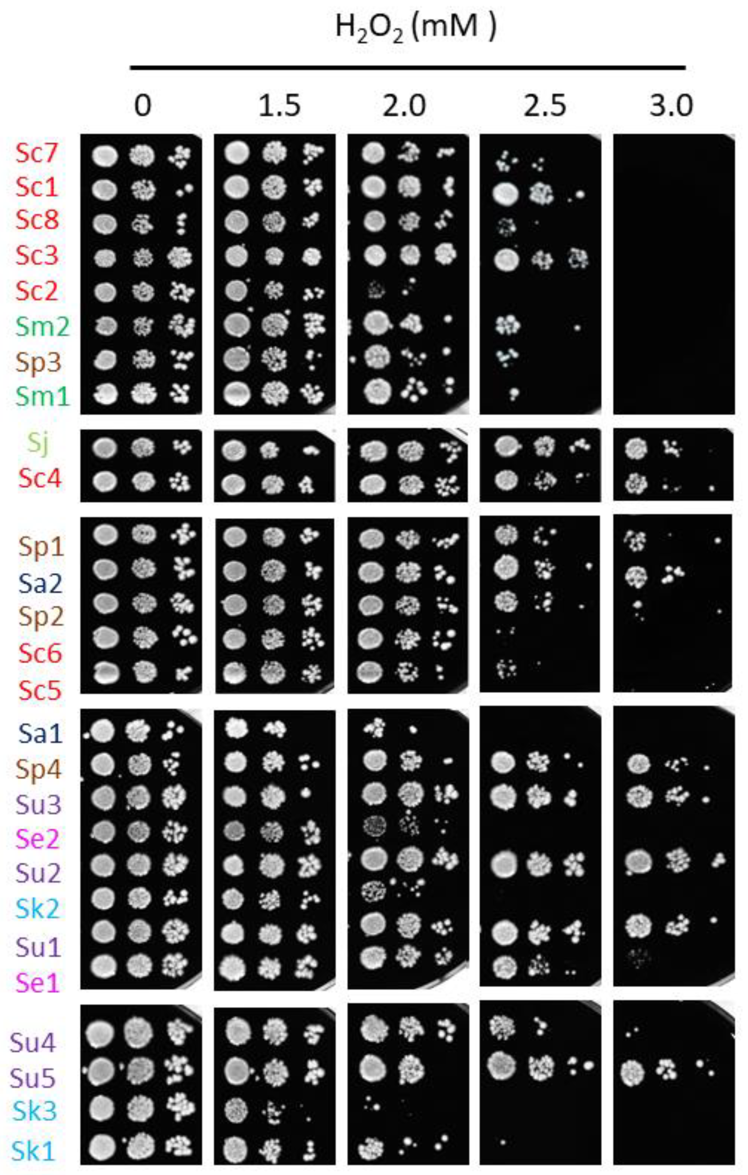 Ijms 23 13965 g005 Ijms 23 13965 g005