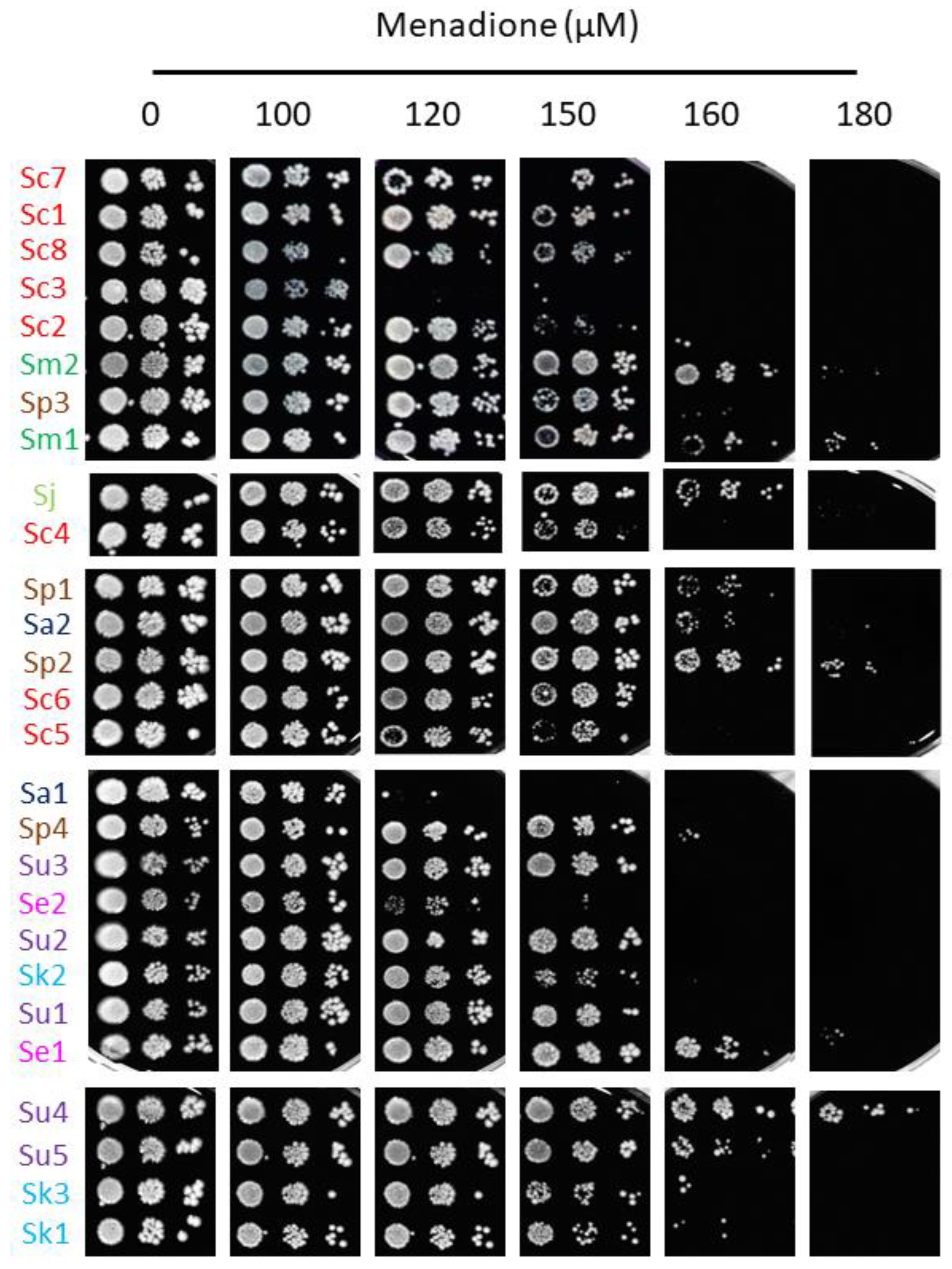 Ijms 23 13965 g006 Ijms 23 13965 g006