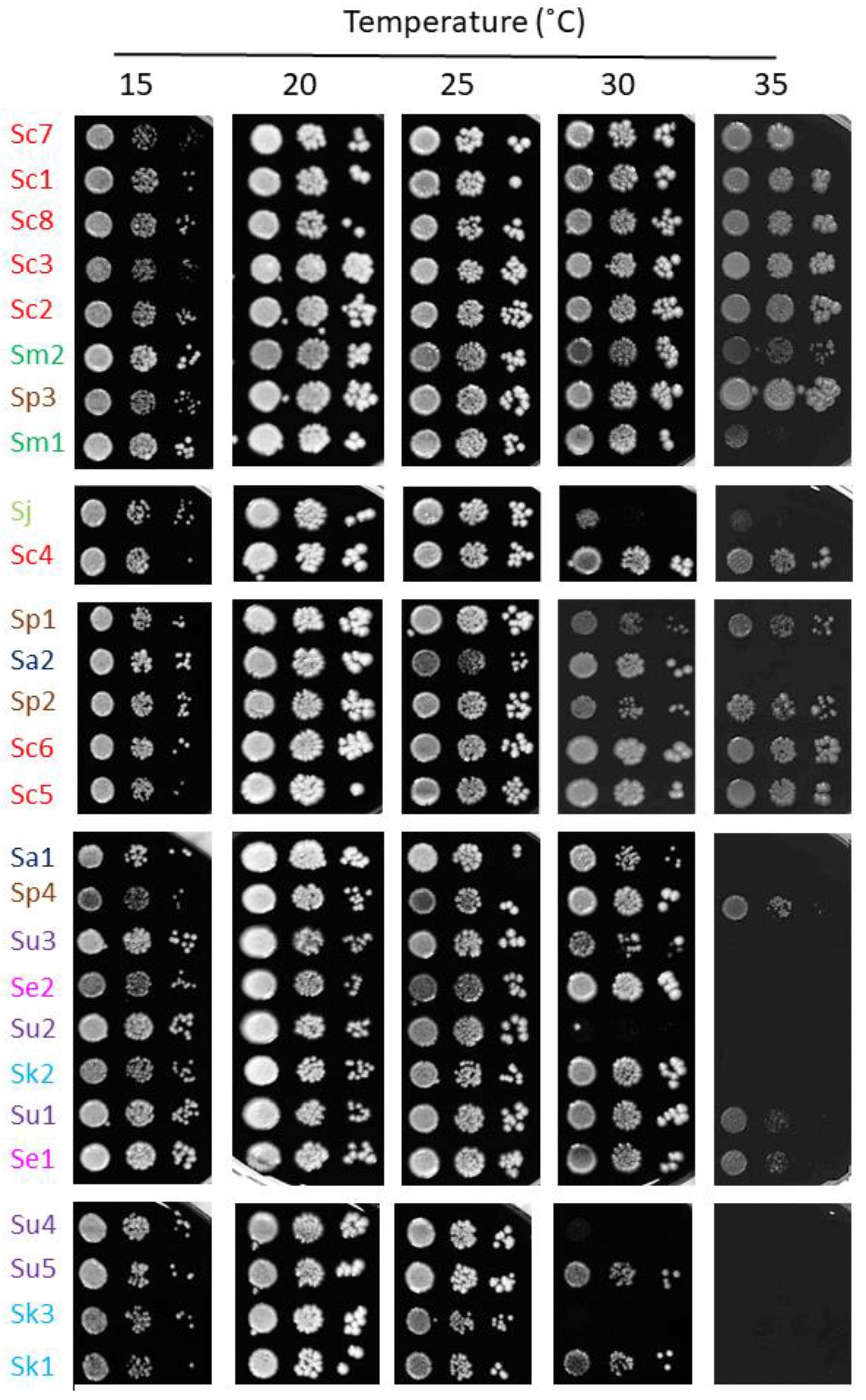 Ijms 23 13965 g007 Ijms 23 13965 g007