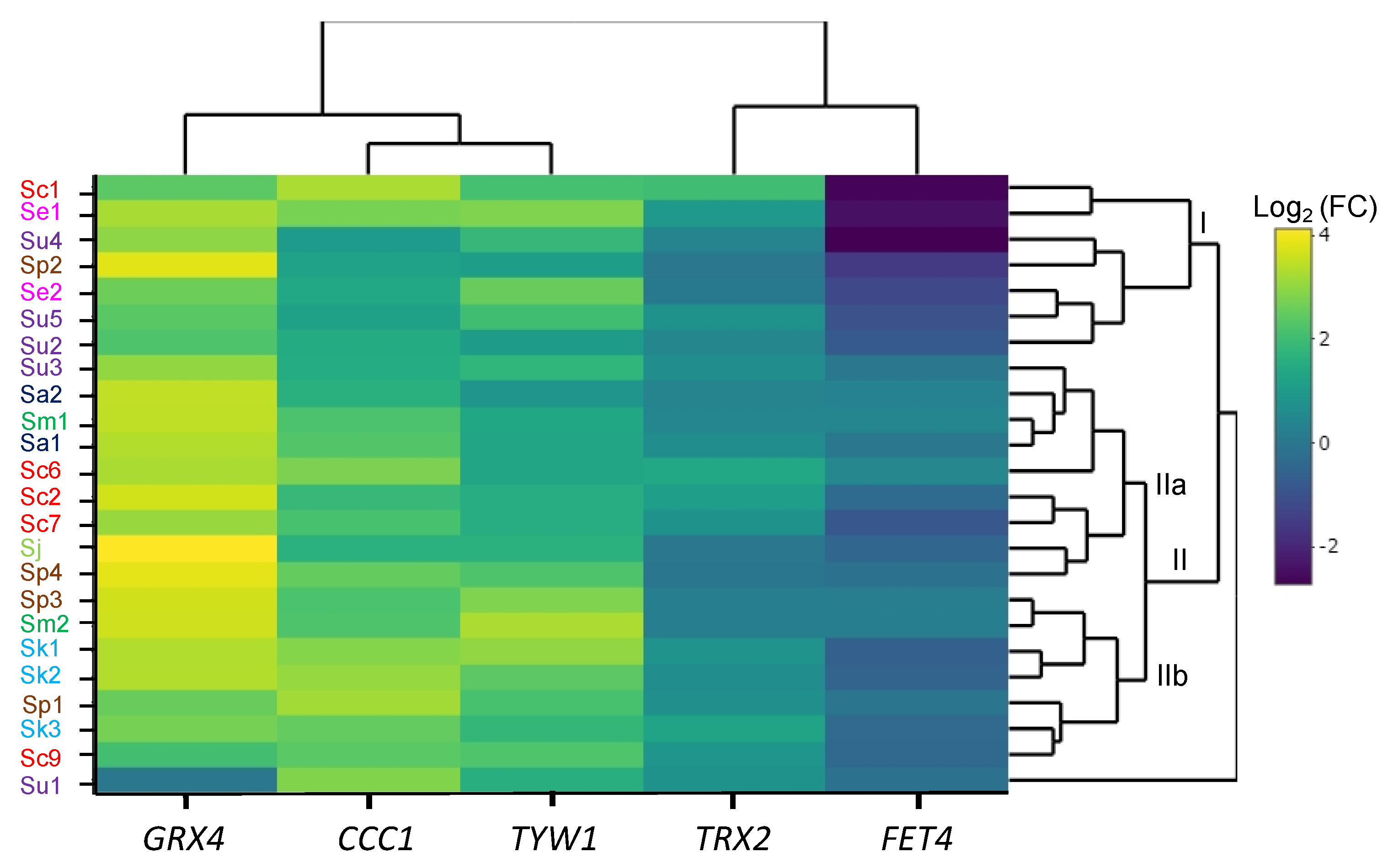 Ijms 23 13965 g008 Ijms 23 13965 g008