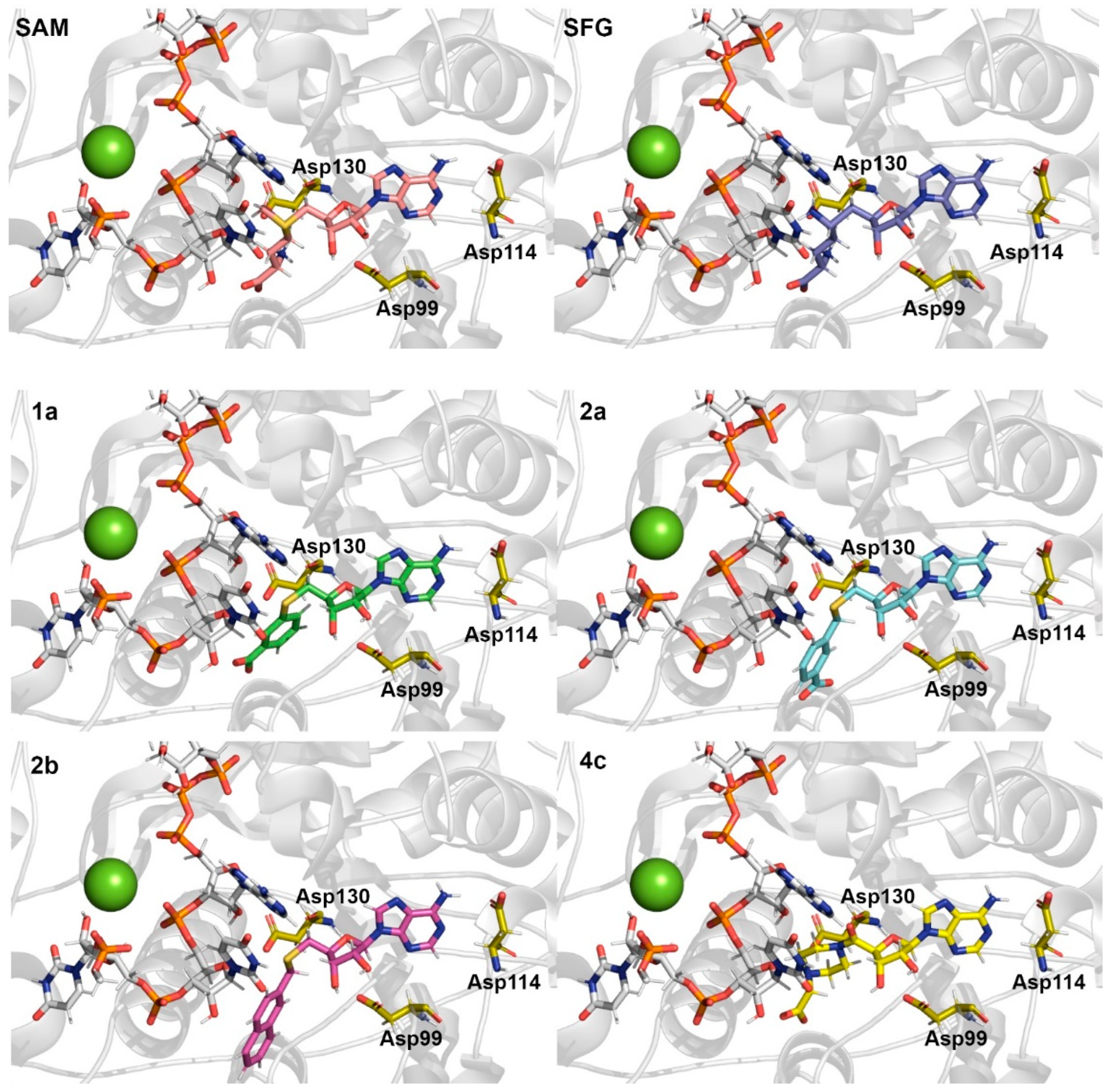 Ijms 23 13972 g003 Ijms 23 13972 g003