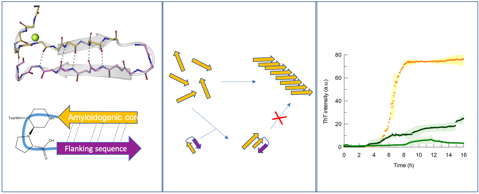 IJMS Free FullText Rational Design of a Peptidomimetic Inhibitor