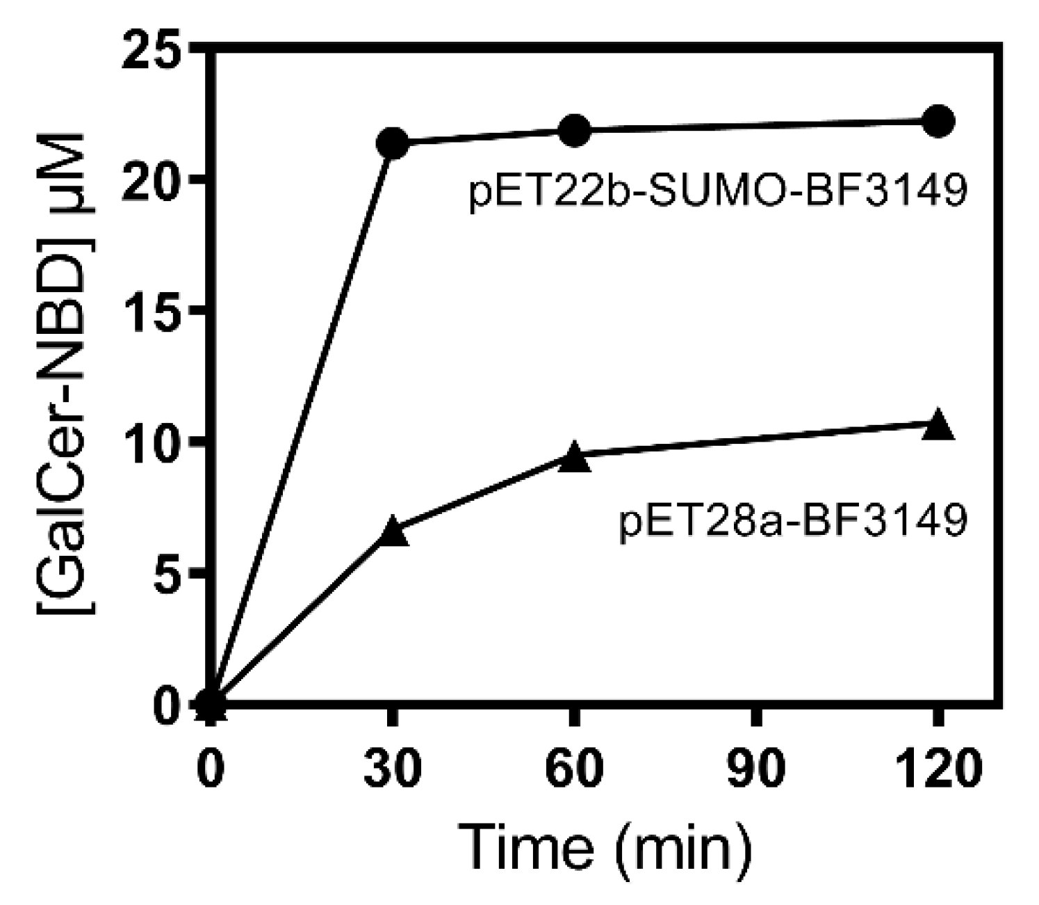 Ijms 23 13975 g004 Ijms 23 13975 g004