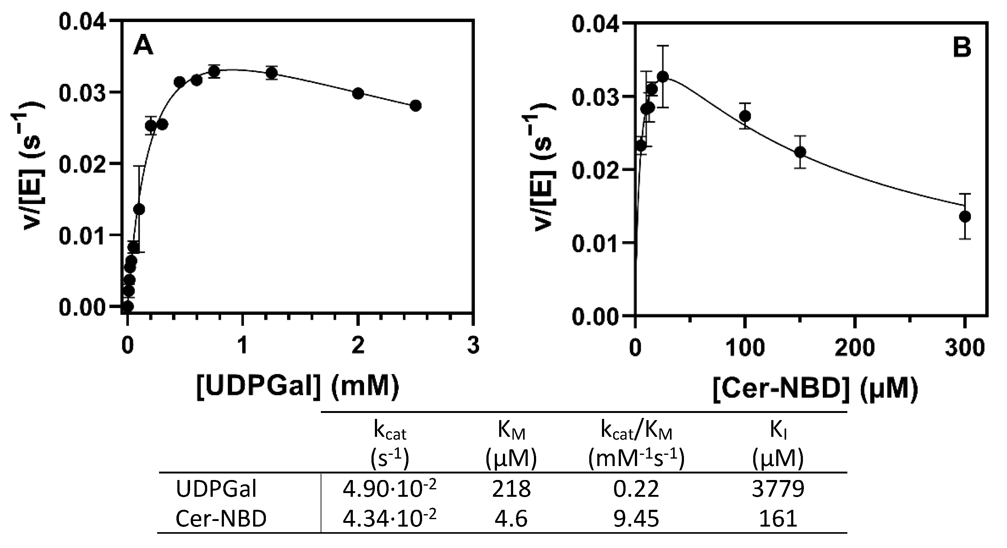 Ijms 23 13975 g009 Ijms 23 13975 g009
