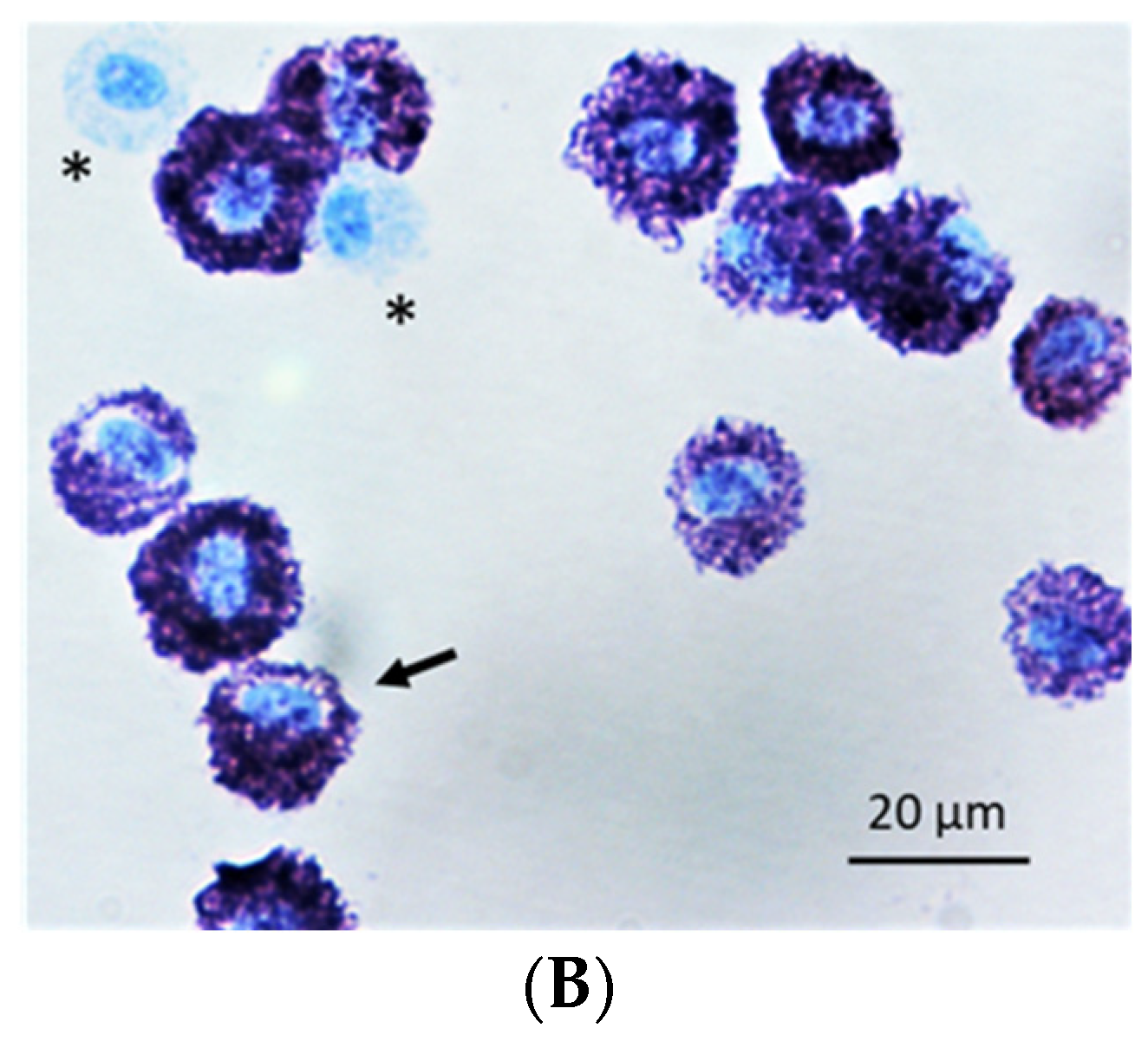 Ijms 23 13976 g001b Ijms 23 13976 g001b