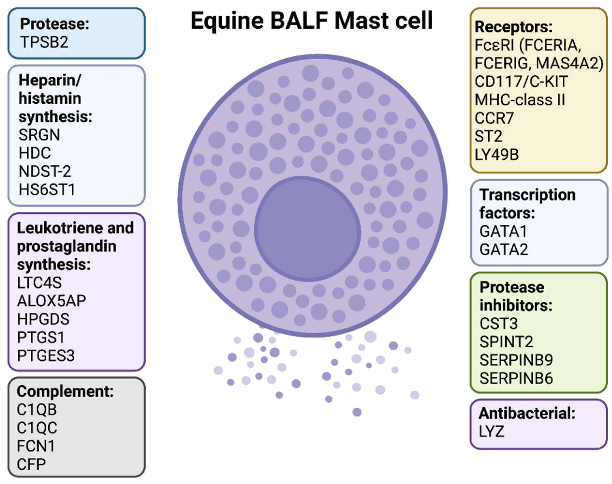 Ijms 23 13976 g002 Ijms 23 13976 g002
