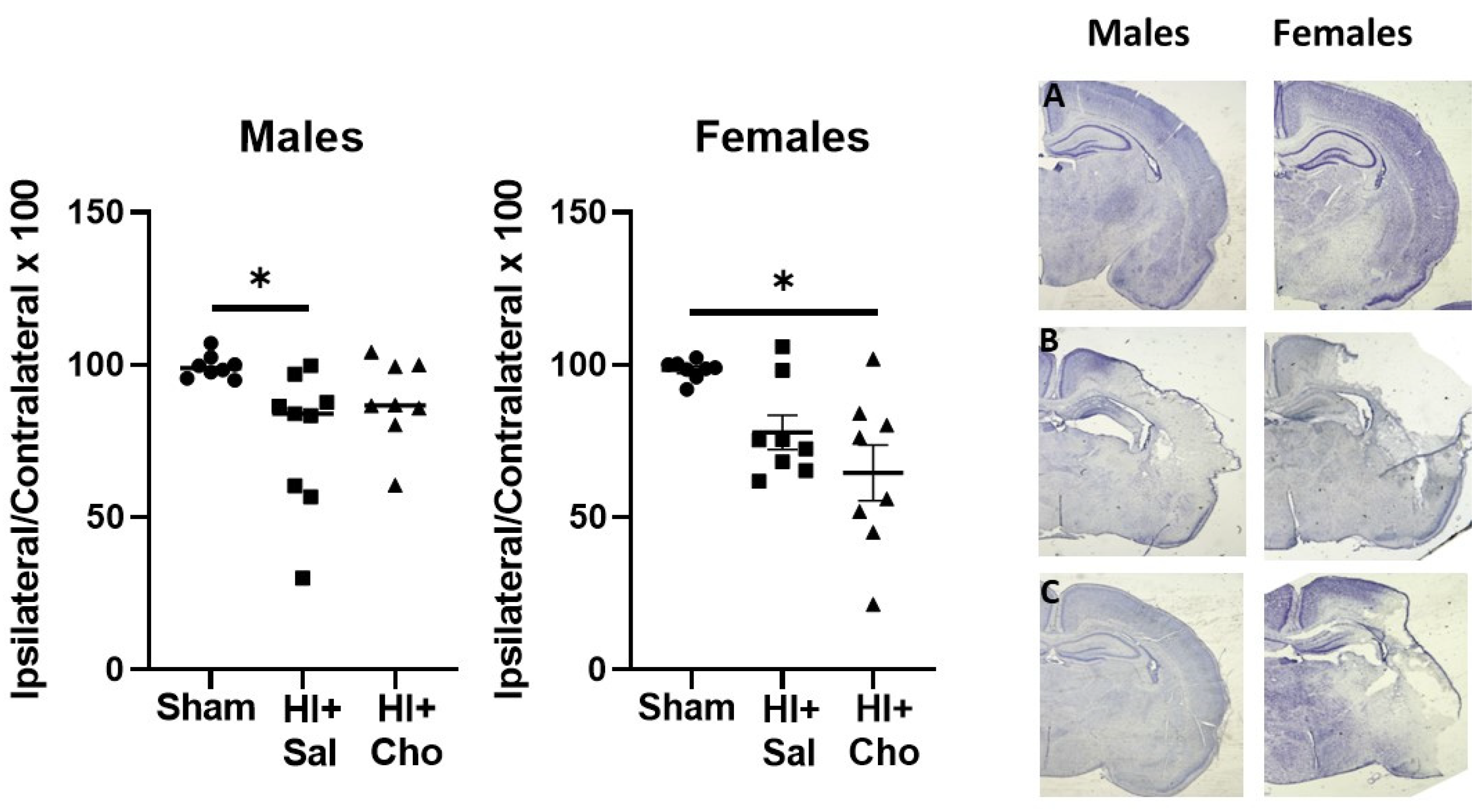 Ijms 23 13983 g003 Ijms 23 13983 g003