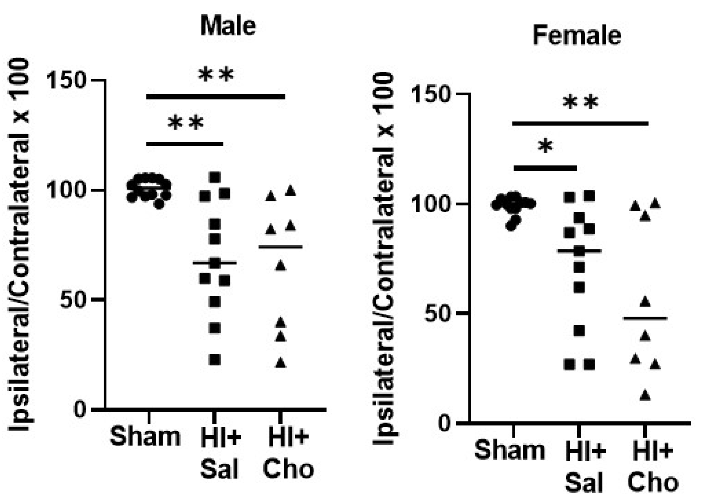 Ijms 23 13983 g006 Ijms 23 13983 g006