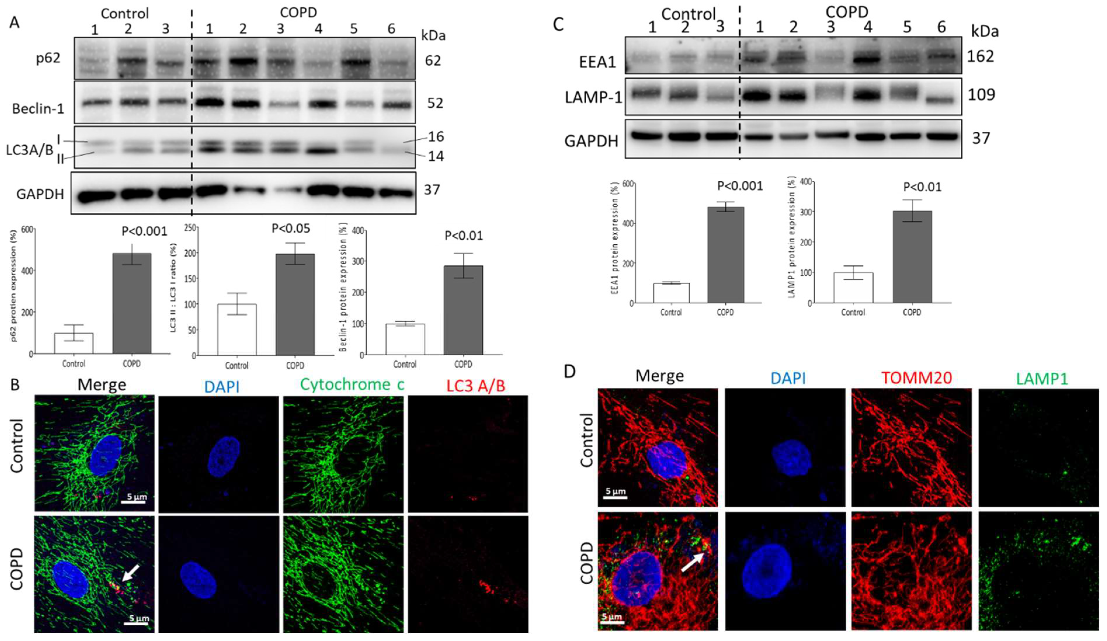 Ijms 23 13987 g002 Ijms 23 13987 g002
