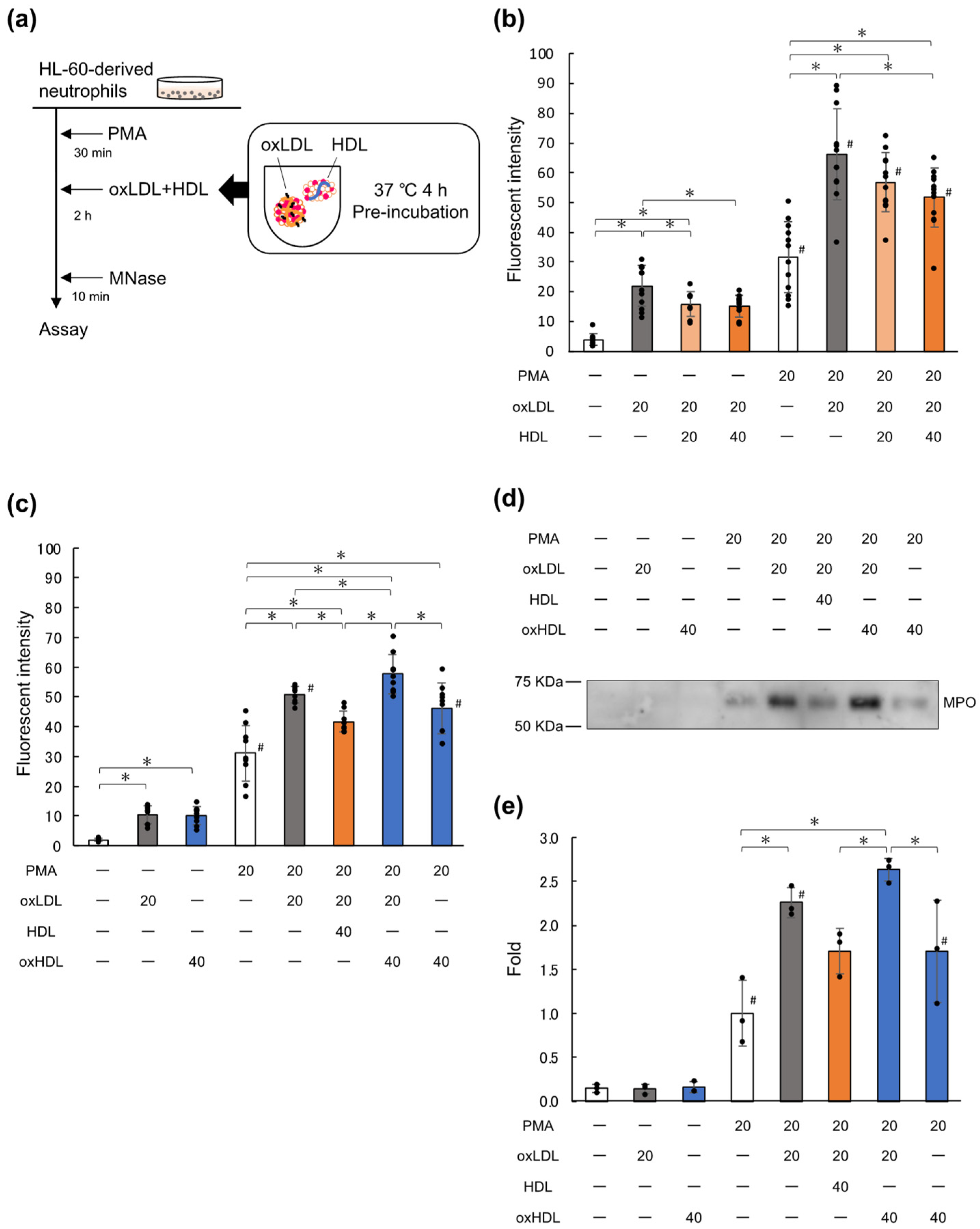 Ijms 23 13992 g001 Ijms 23 13992 g001