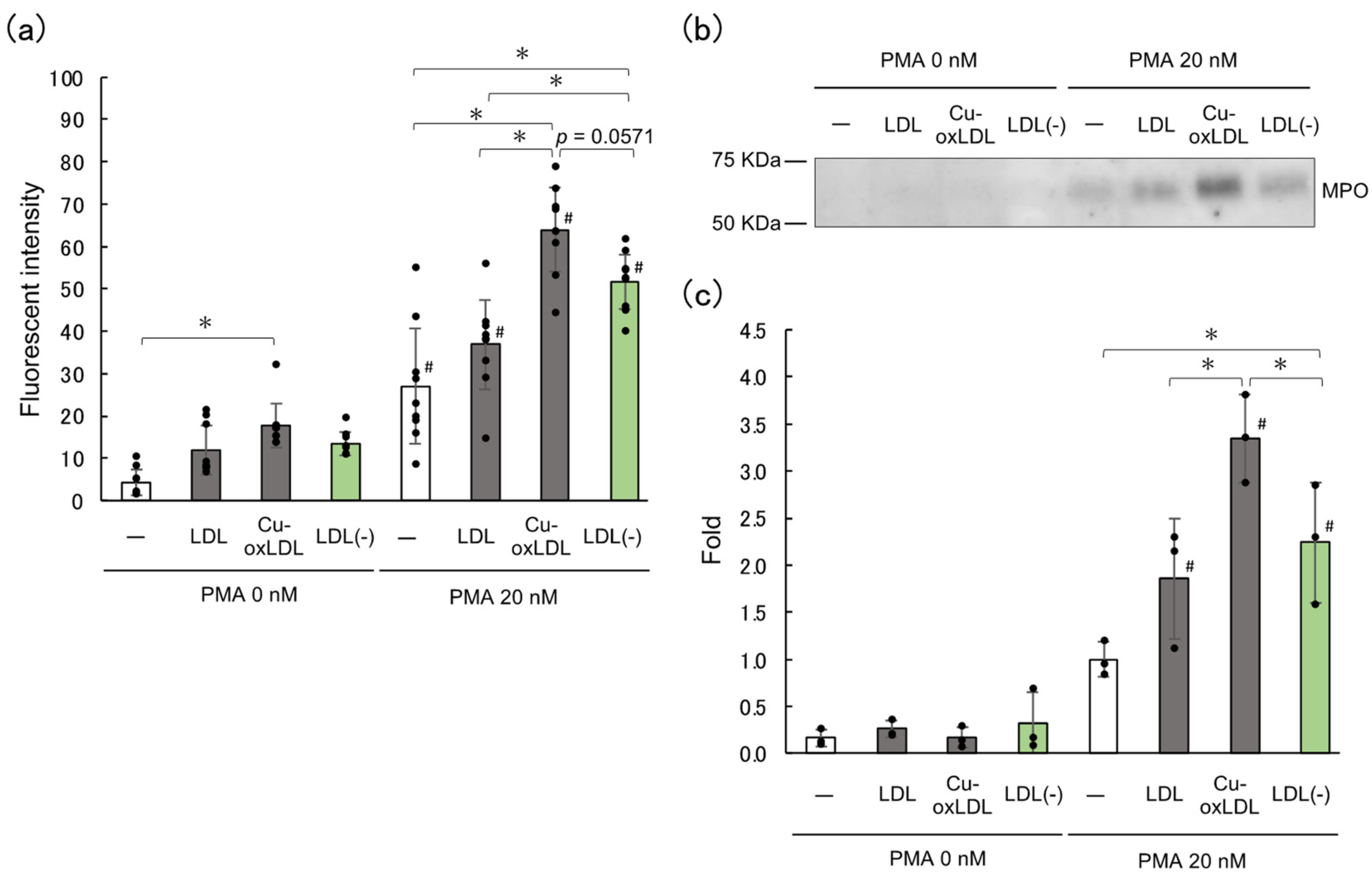Ijms 23 13992 g002 Ijms 23 13992 g002