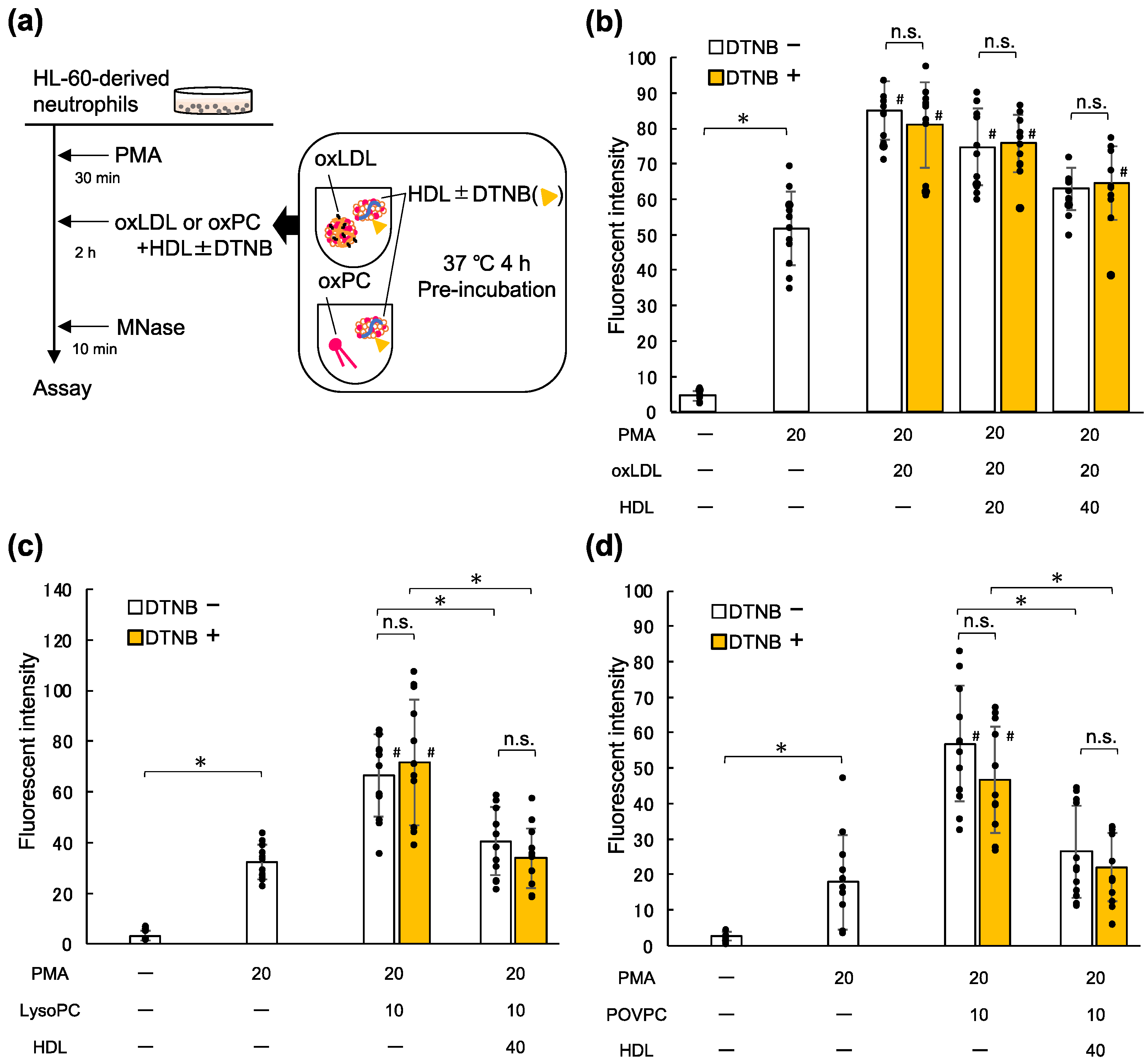 Ijms 23 13992 g004 Ijms 23 13992 g004