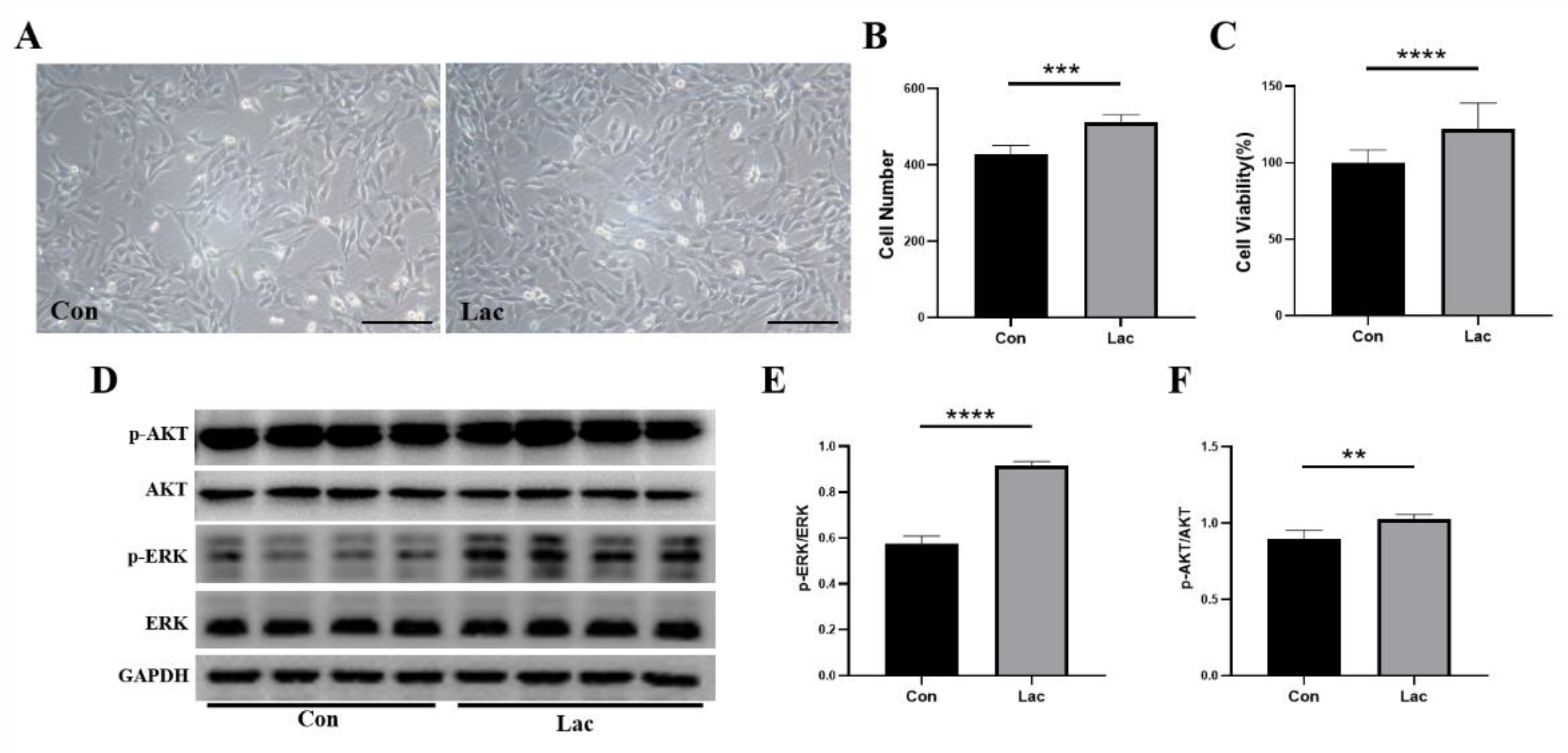 Ijms 23 13996 g001 Ijms 23 13996 g001