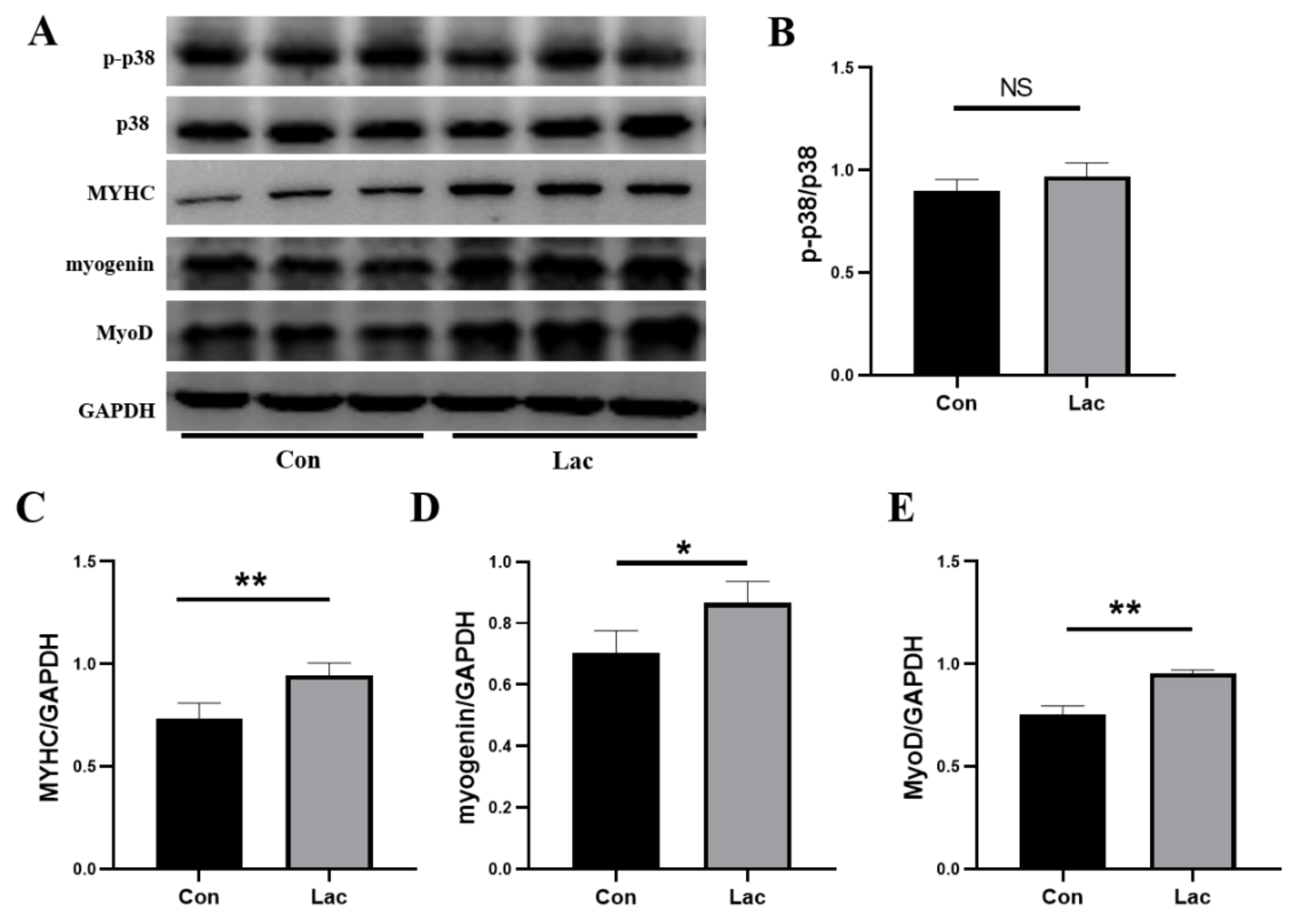 Ijms 23 13996 g003 Ijms 23 13996 g003