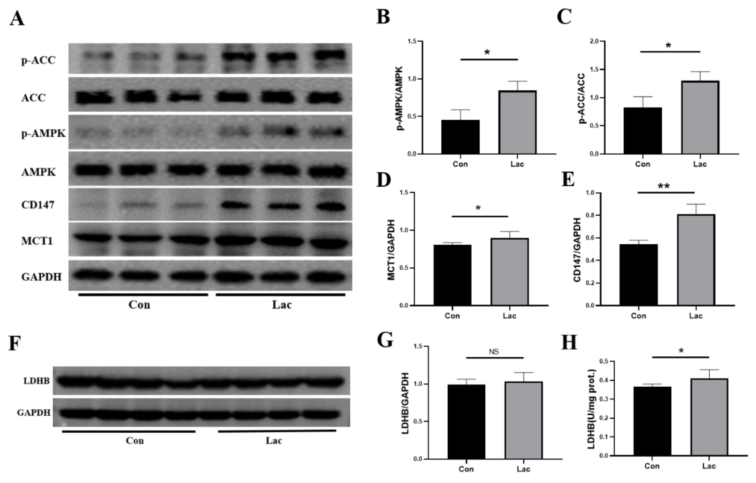 Ijms 23 13996 g008 Ijms 23 13996 g008