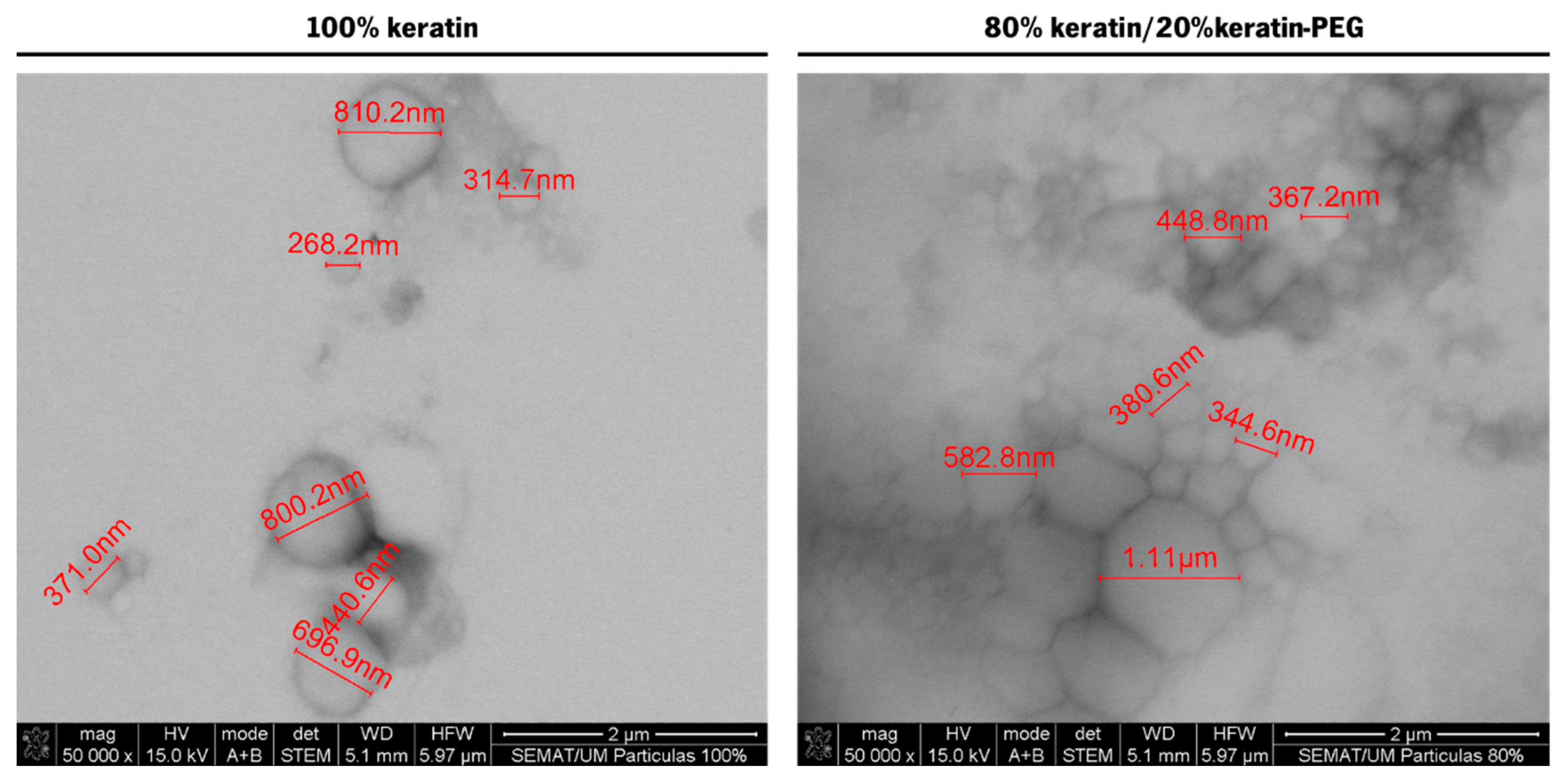 Ijms 23 13999 g003 Ijms 23 13999 g003