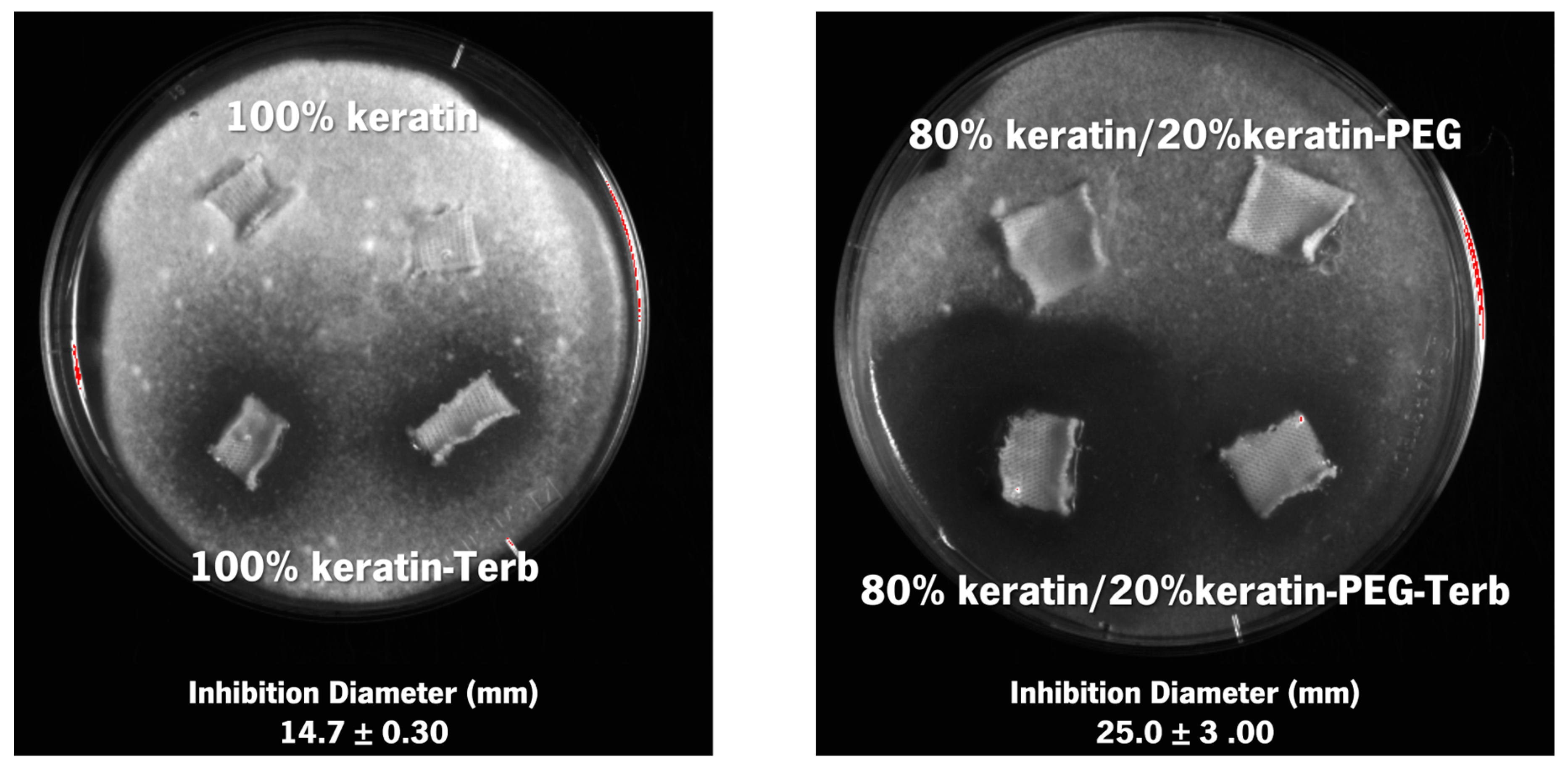 Ijms 23 13999 g009 Ijms 23 13999 g009