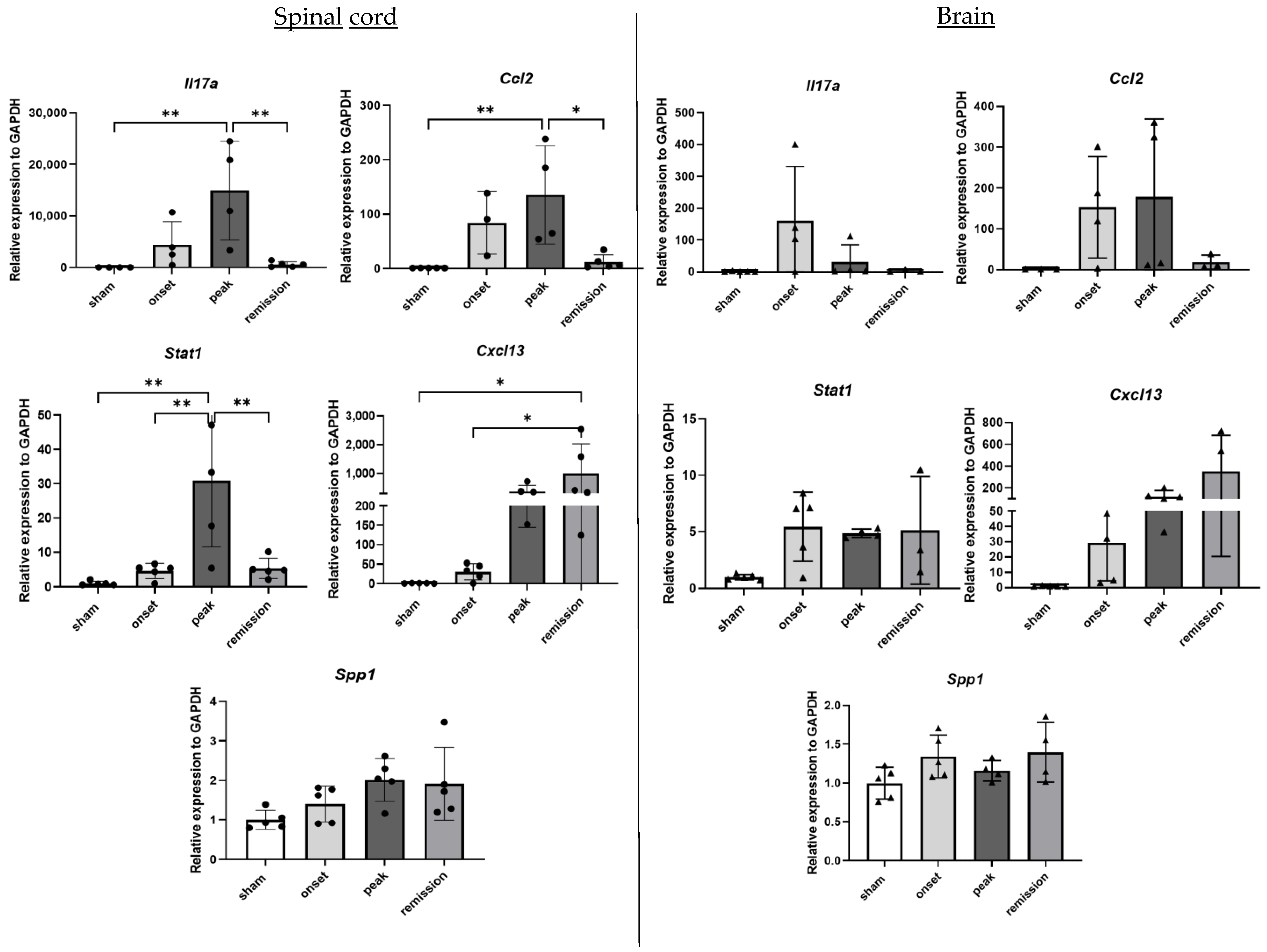 Ijms 23 14000 g001 Ijms 23 14000 g001